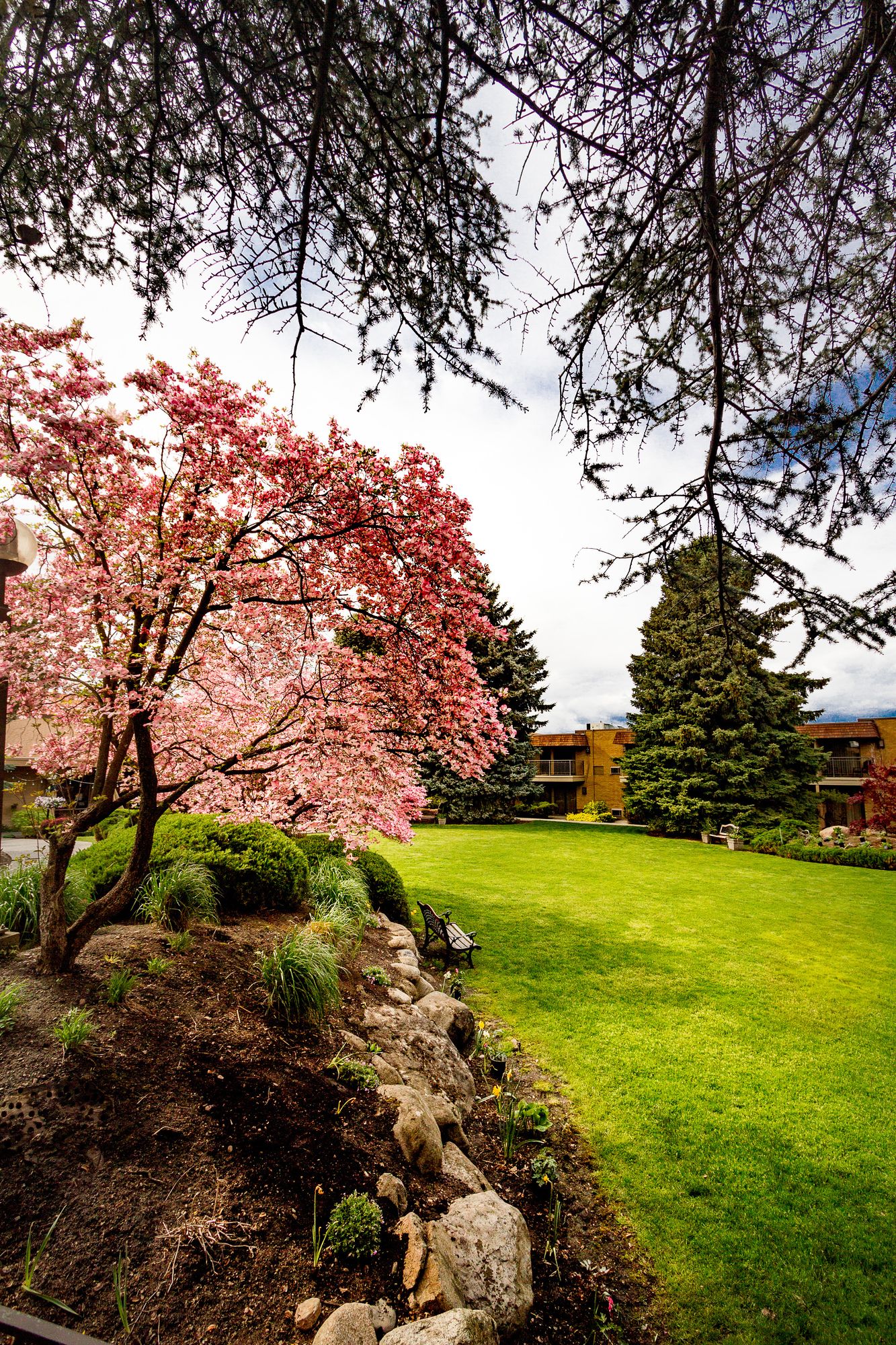 Mirabeau Park Hotel & Convention Center