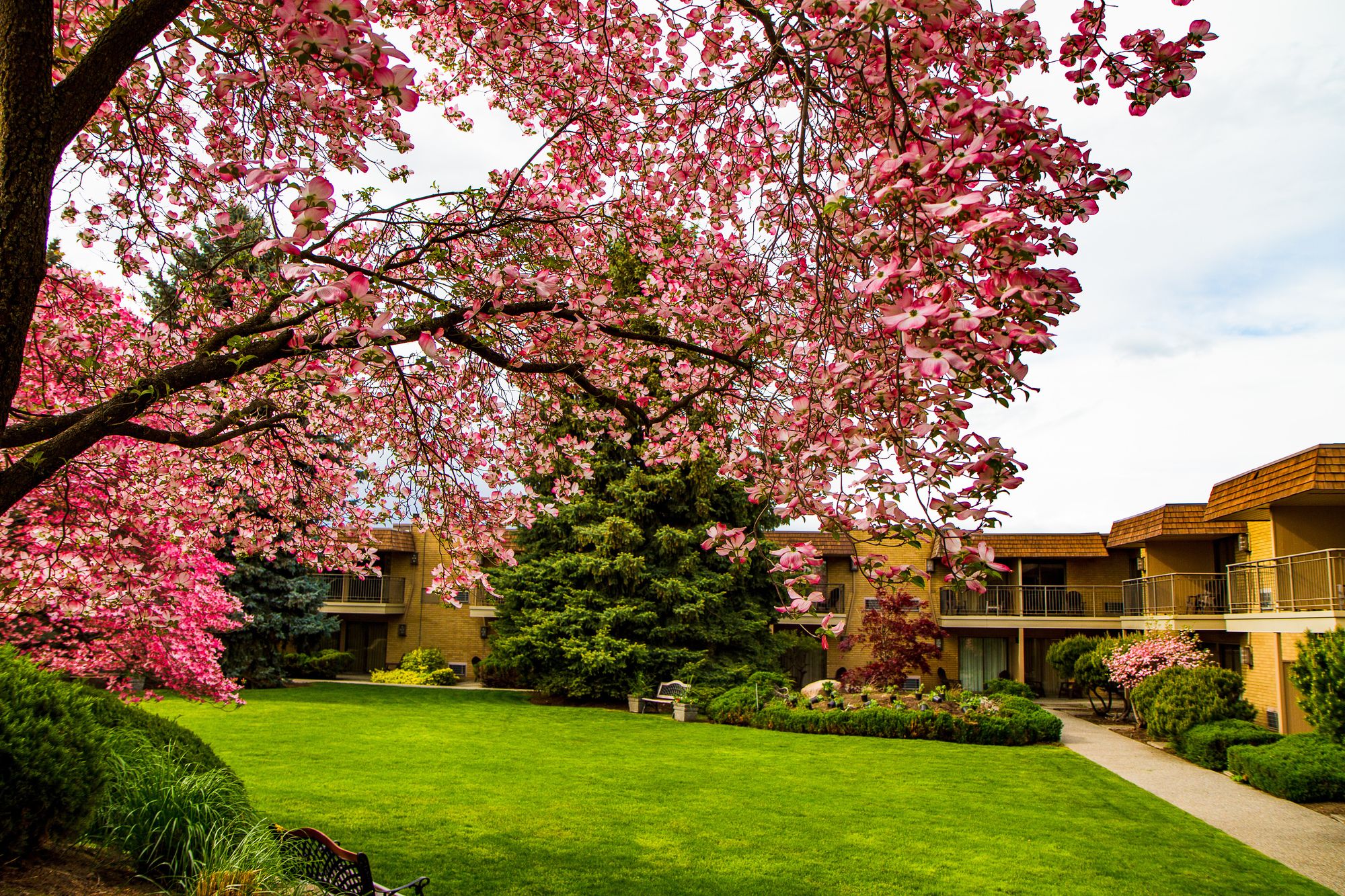 Mirabeau Park Hotel & Convention Center