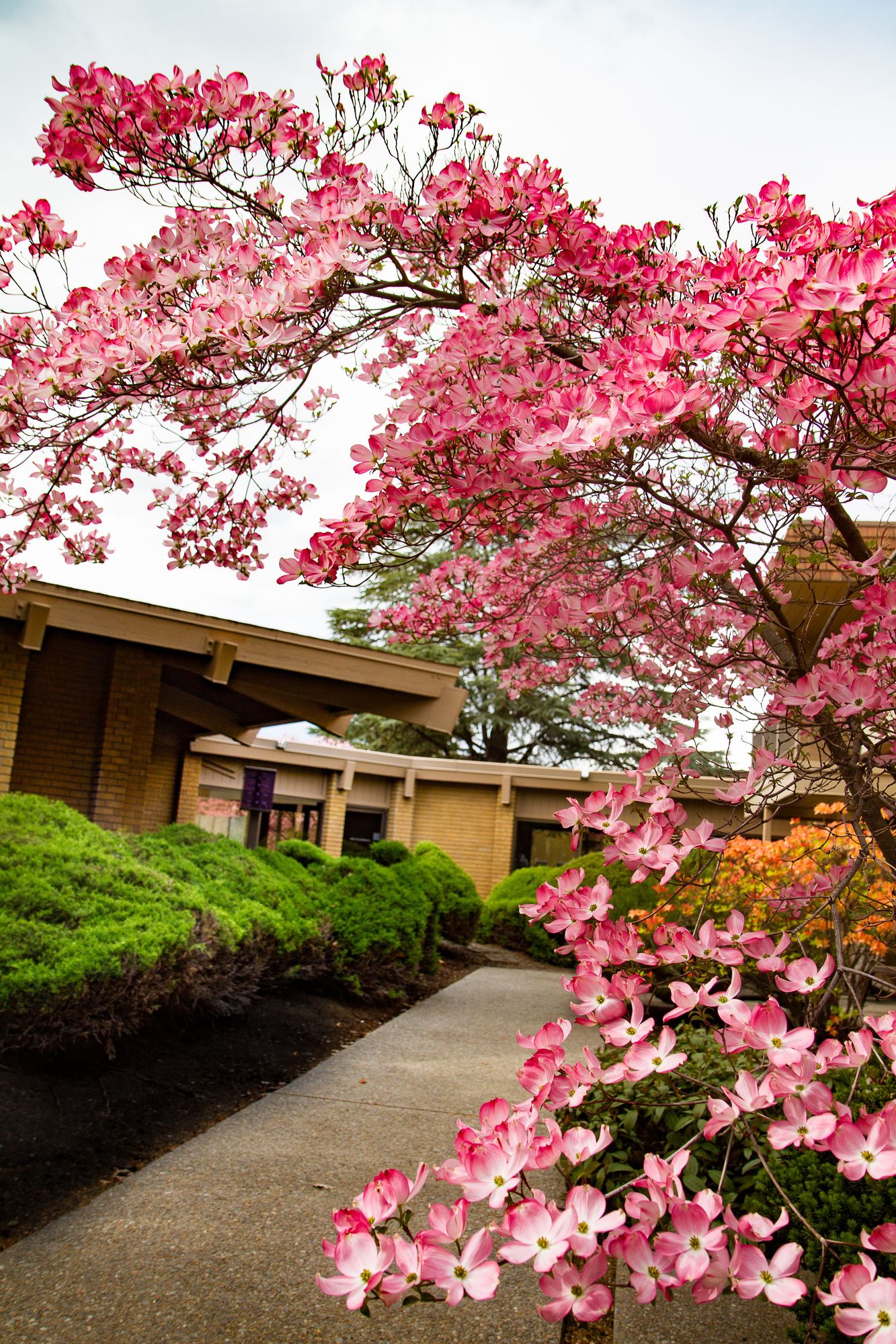Mirabeau Park Hotel & Convention Center