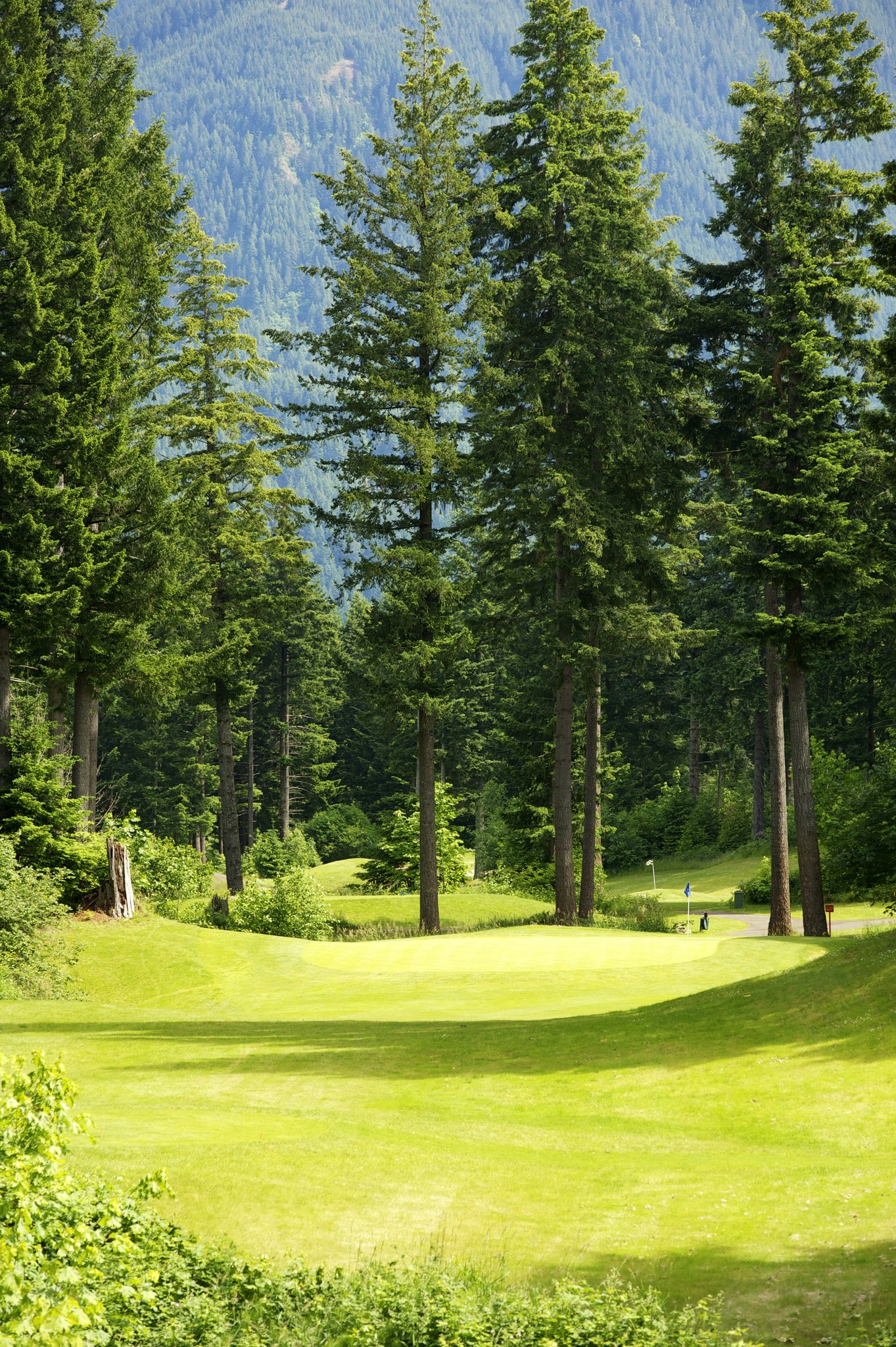 Skamania Lodge