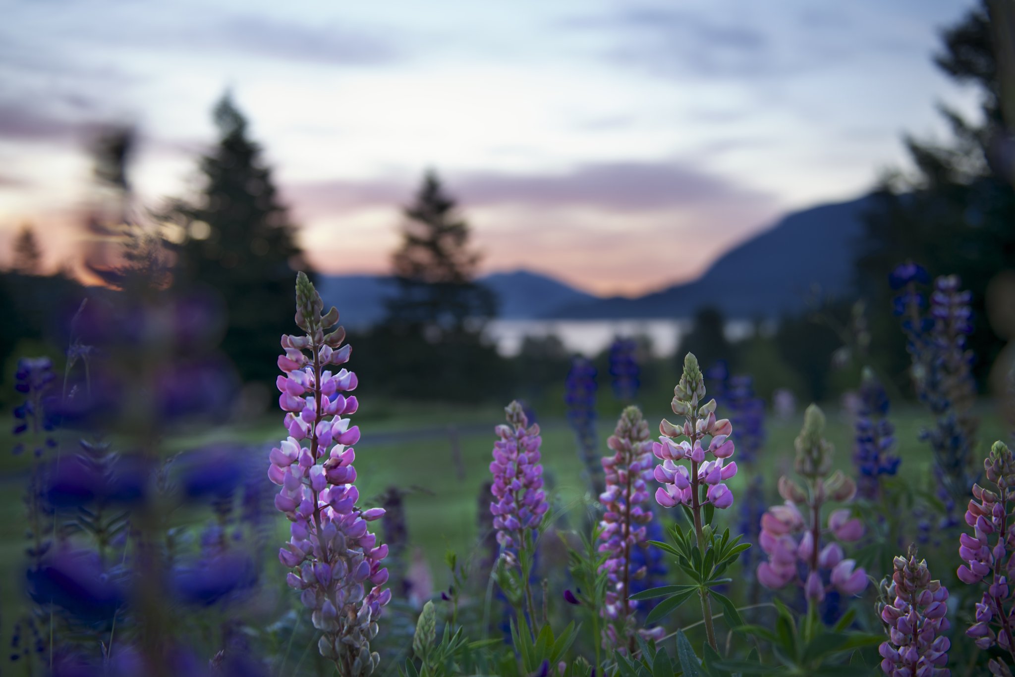 Skamania Lodge