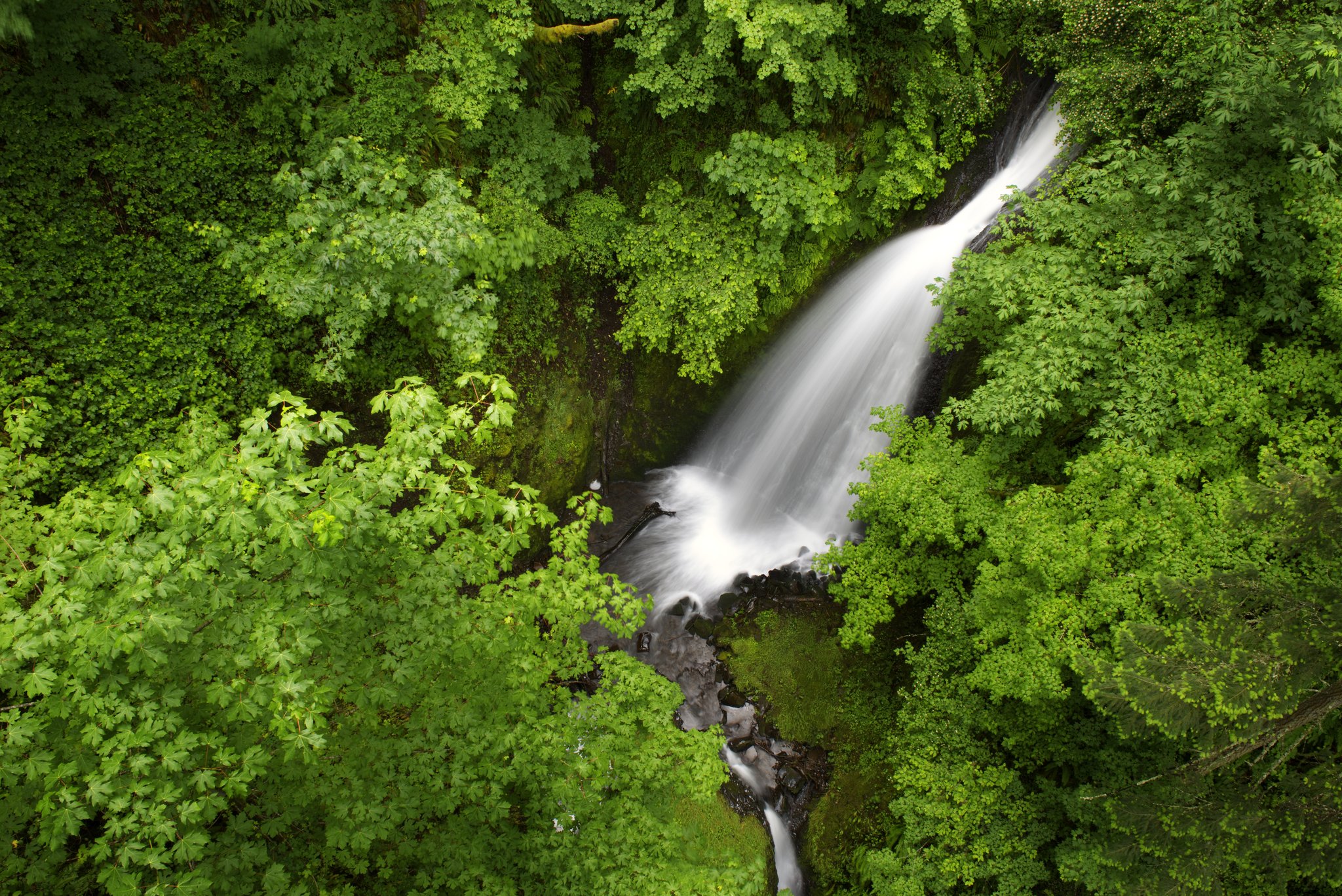 Skamania Lodge