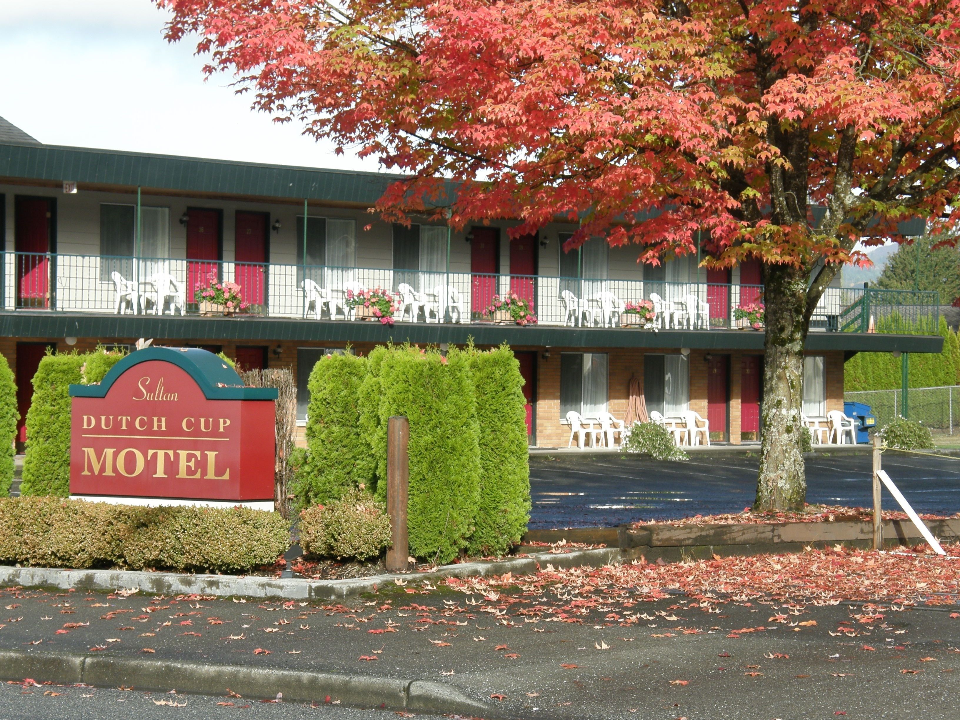 Dutch Cup Motel