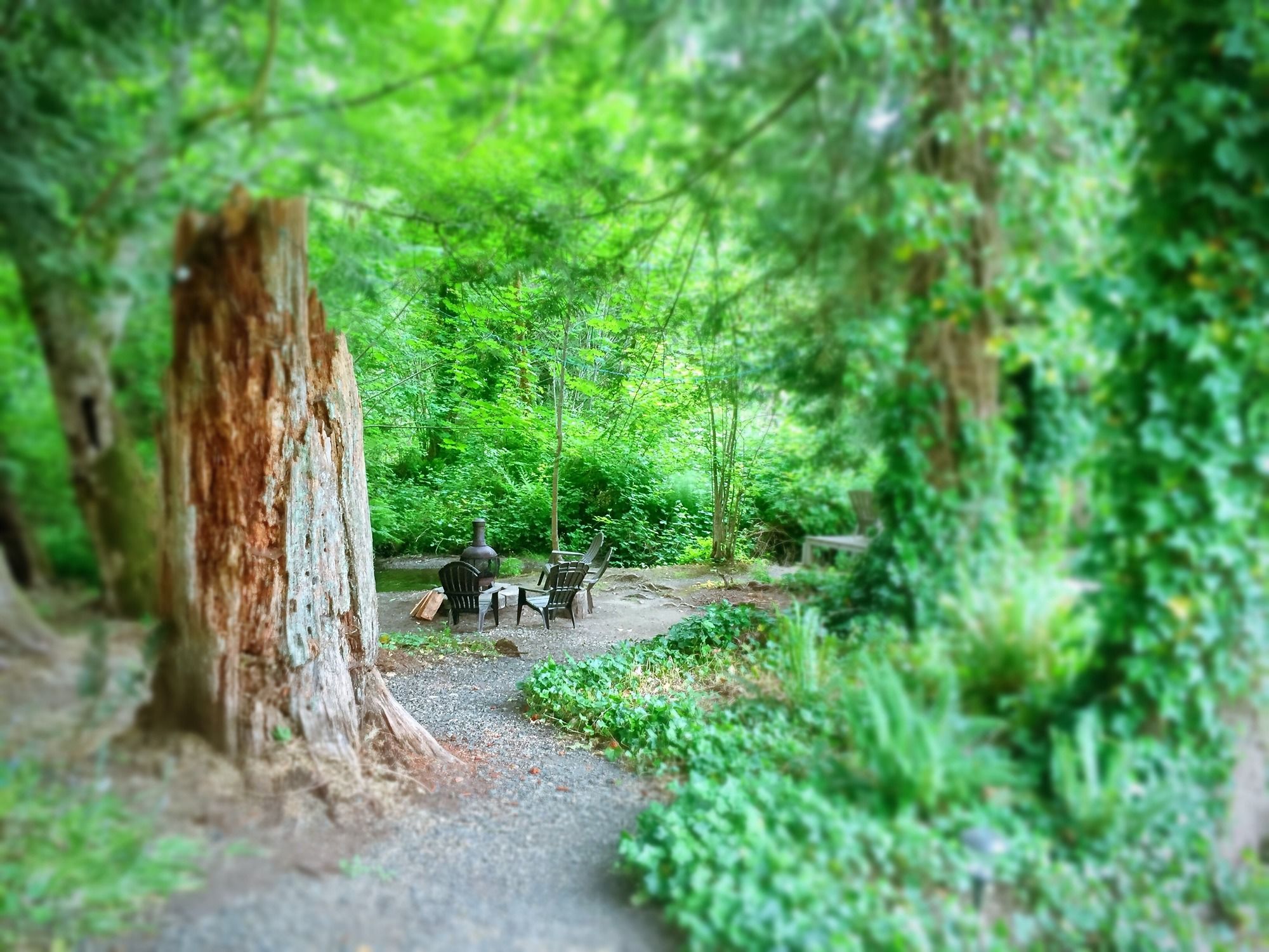 Robin Hood Village Resort