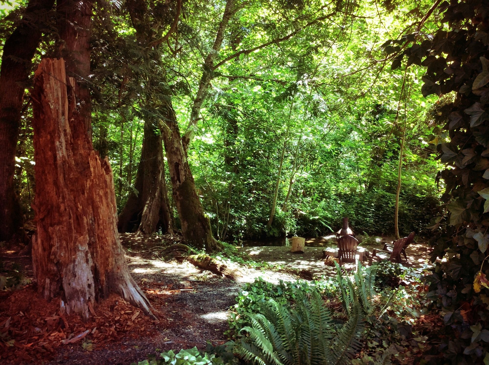 Robin Hood Village Resort
