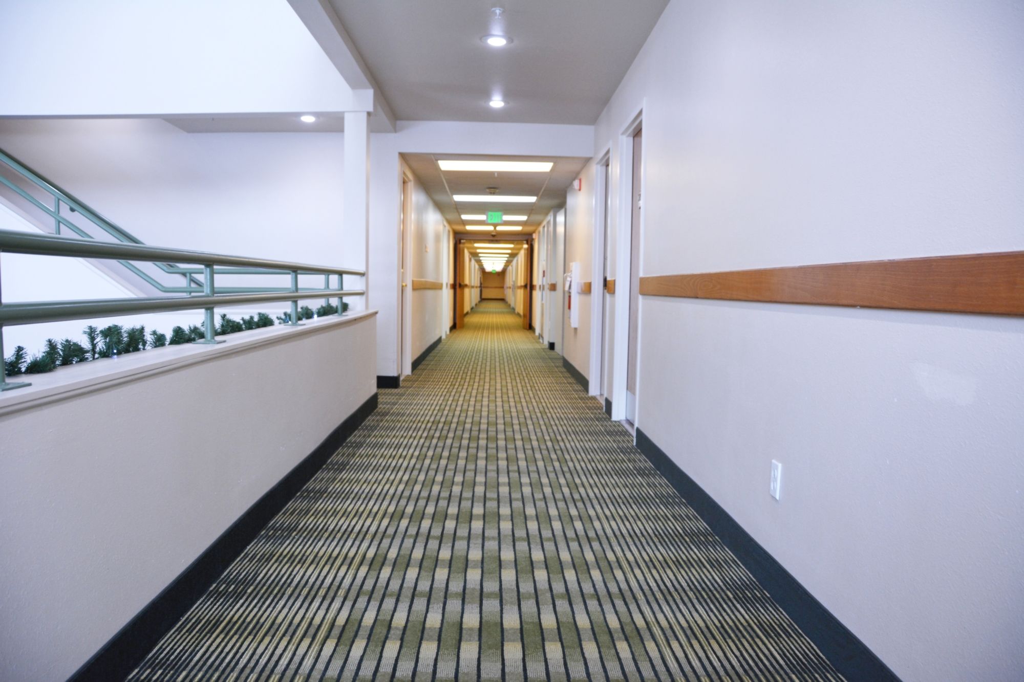 Cedars Inn