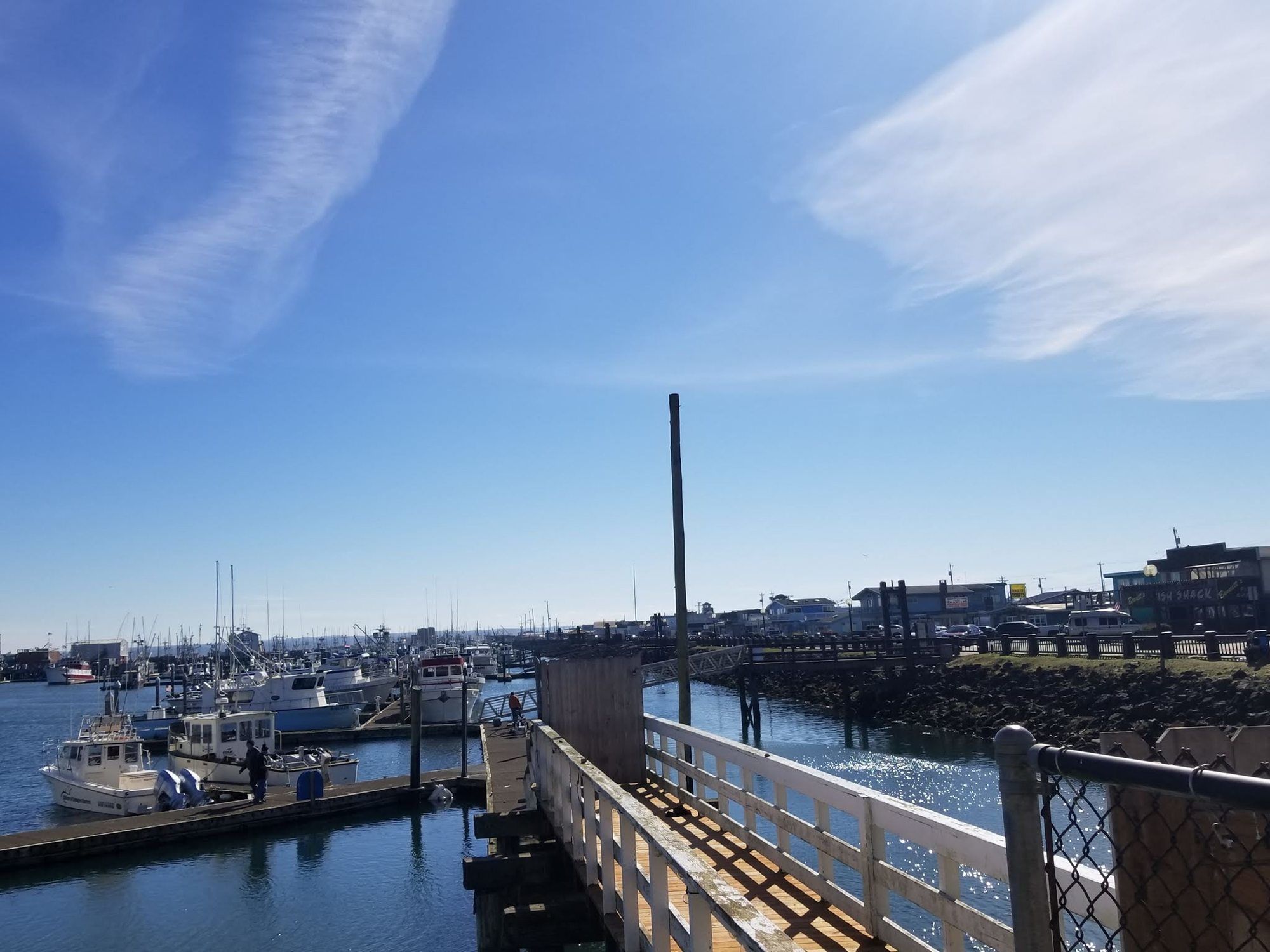 Islander Westport