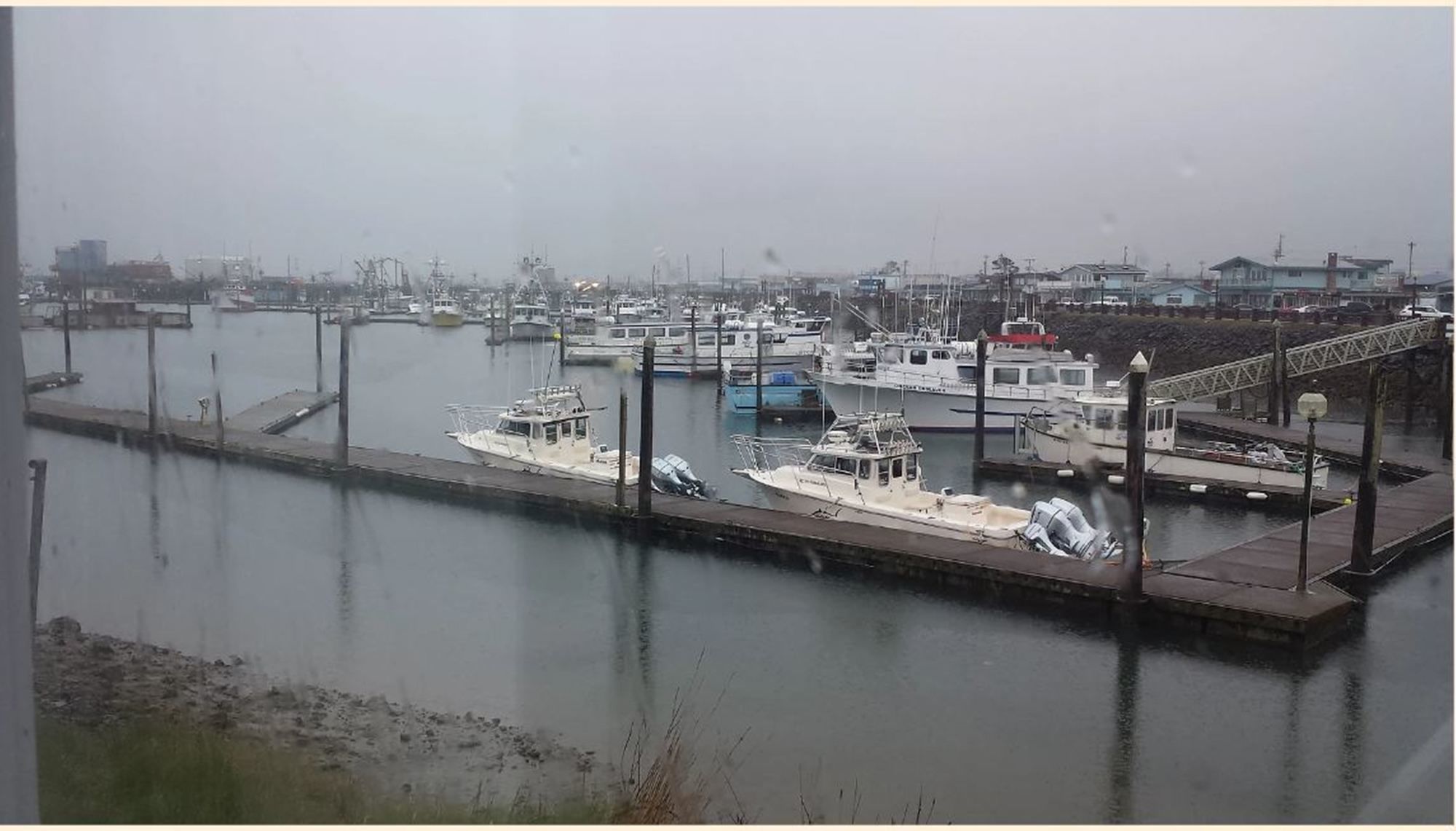 Islander Westport