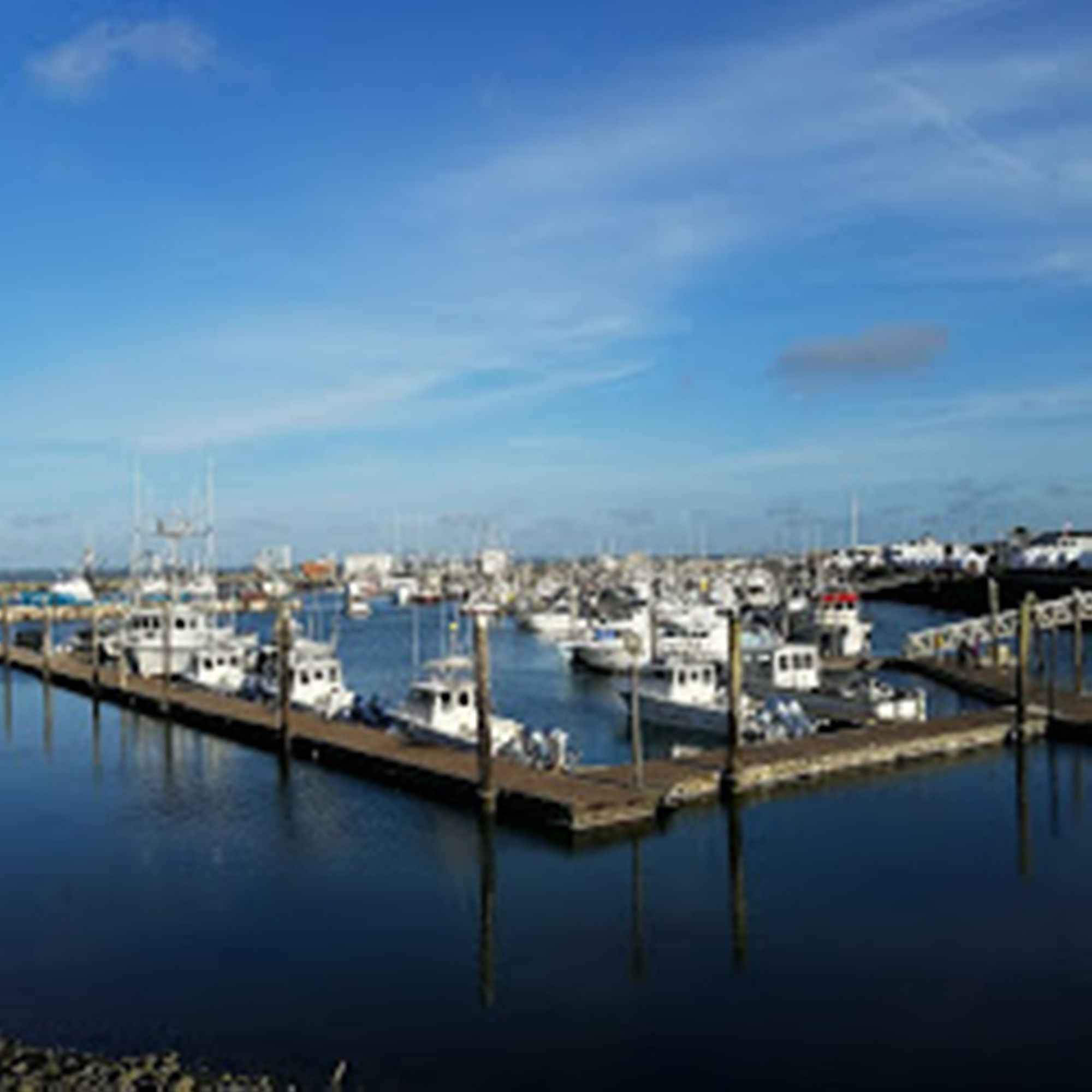 Islander Westport