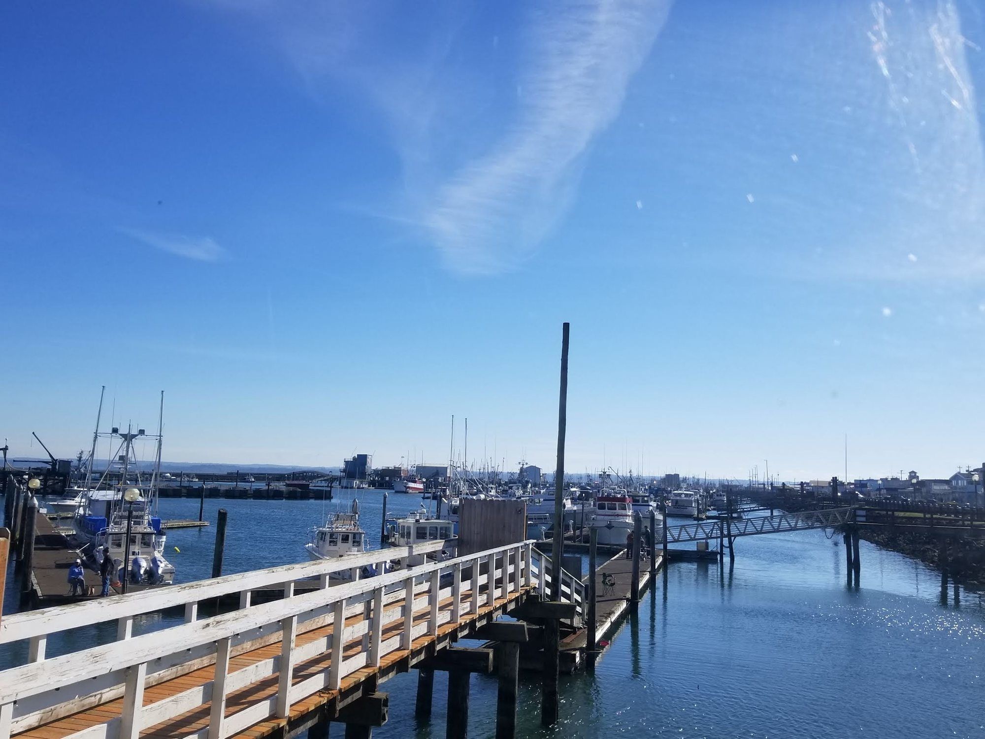 Islander Westport