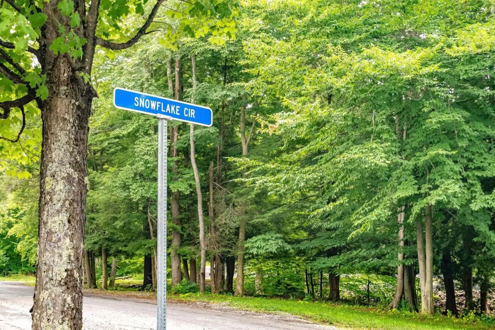 Northwoods