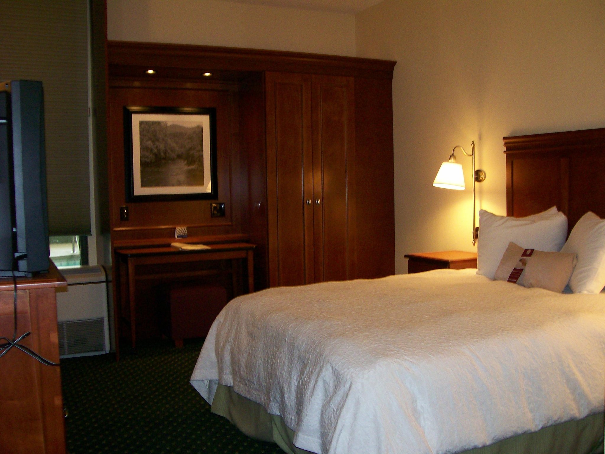 Hampton Inn Charleston Downtown - Civic Center