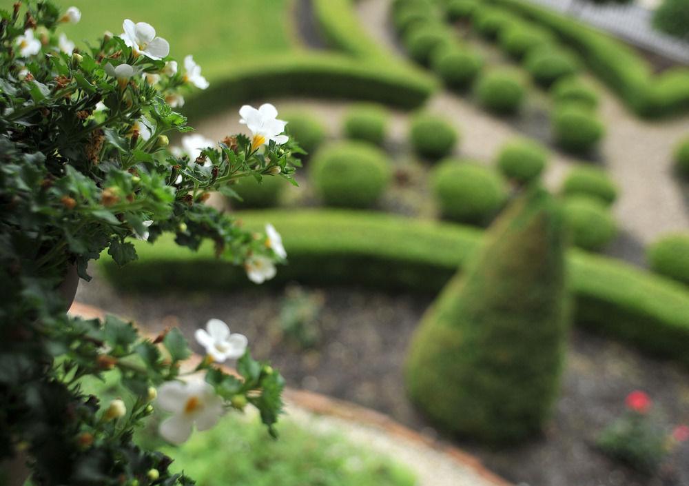 The Morris Harvey House