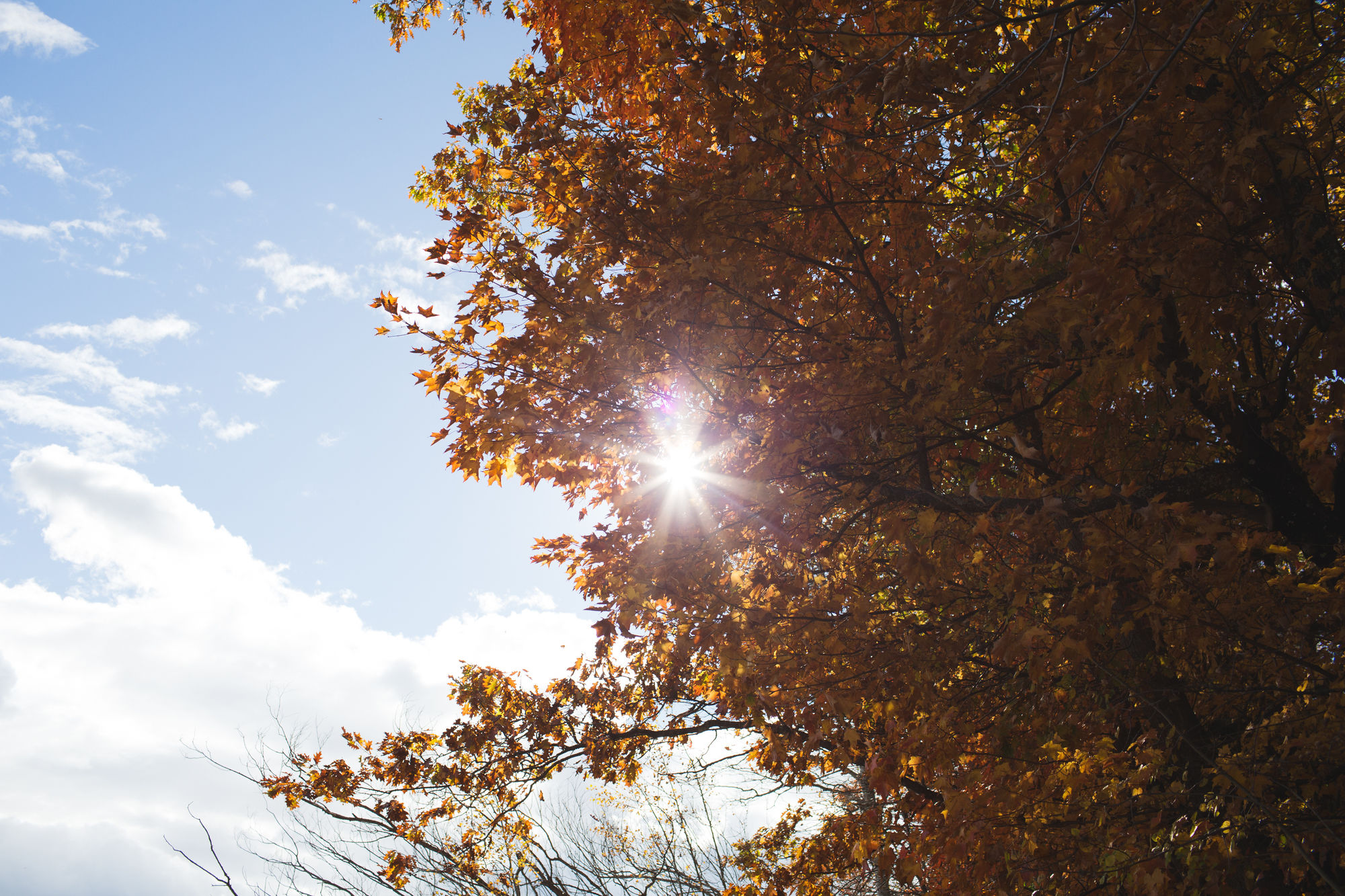 Mission Springs Lake House