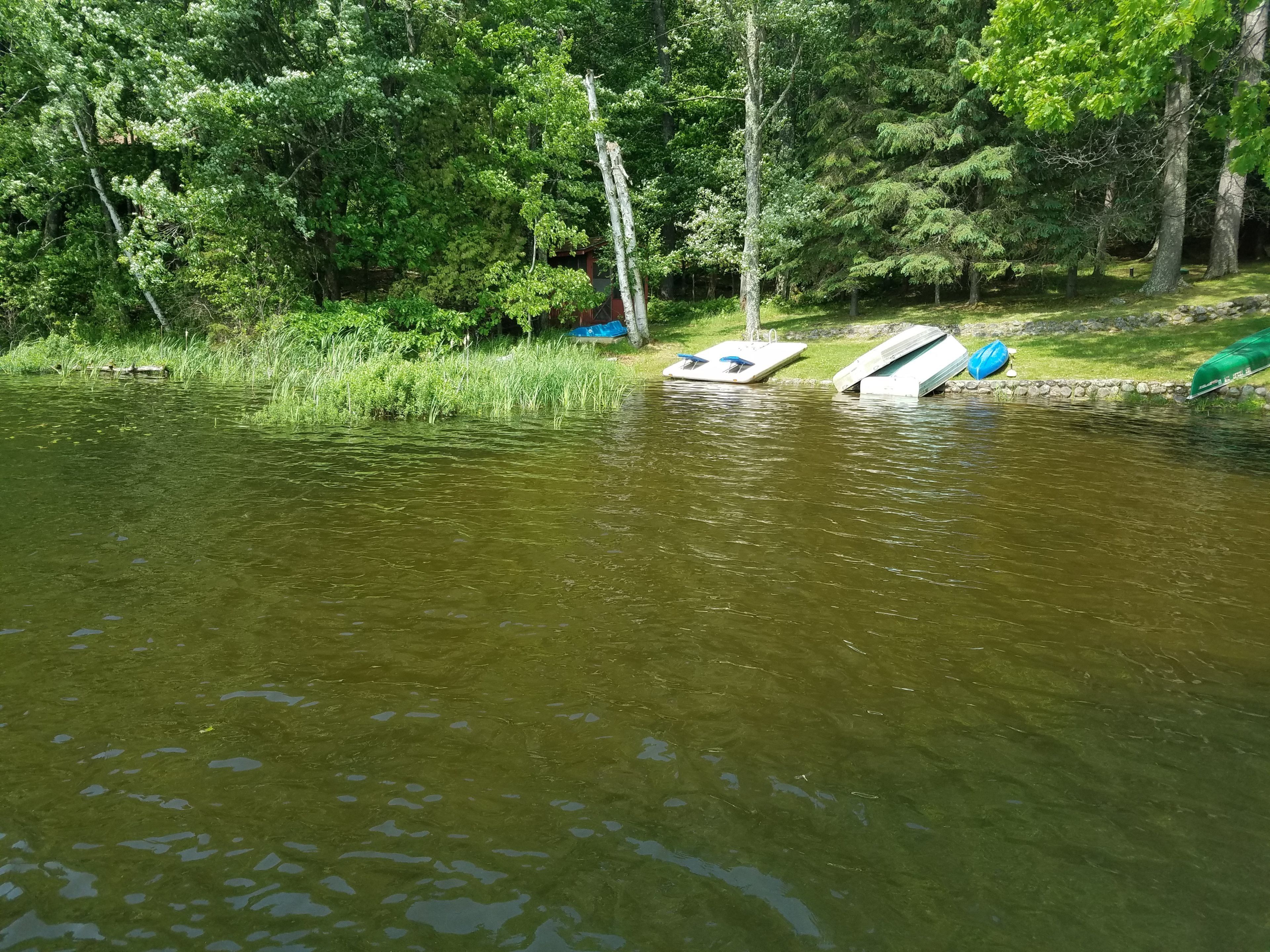 Timberlane Lodge - Blue Gill