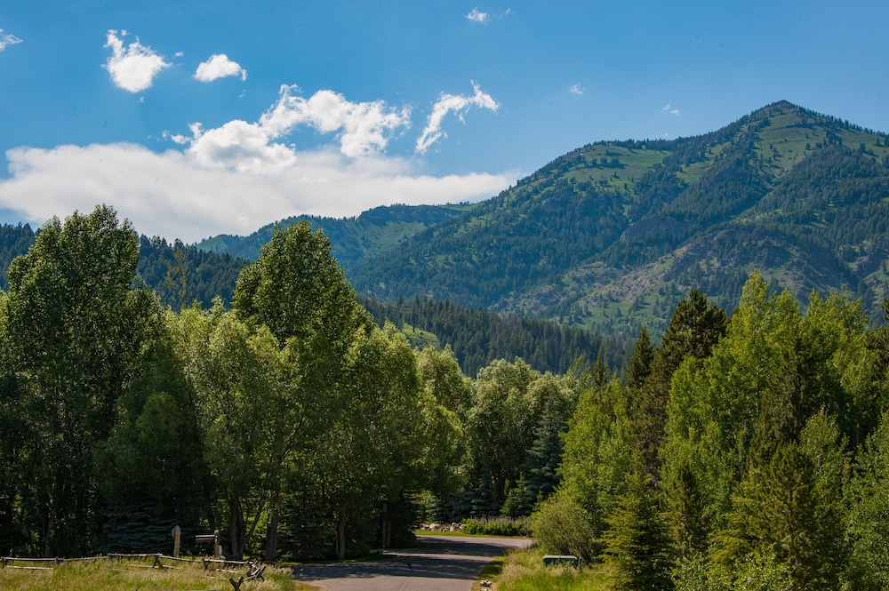 The Aspens