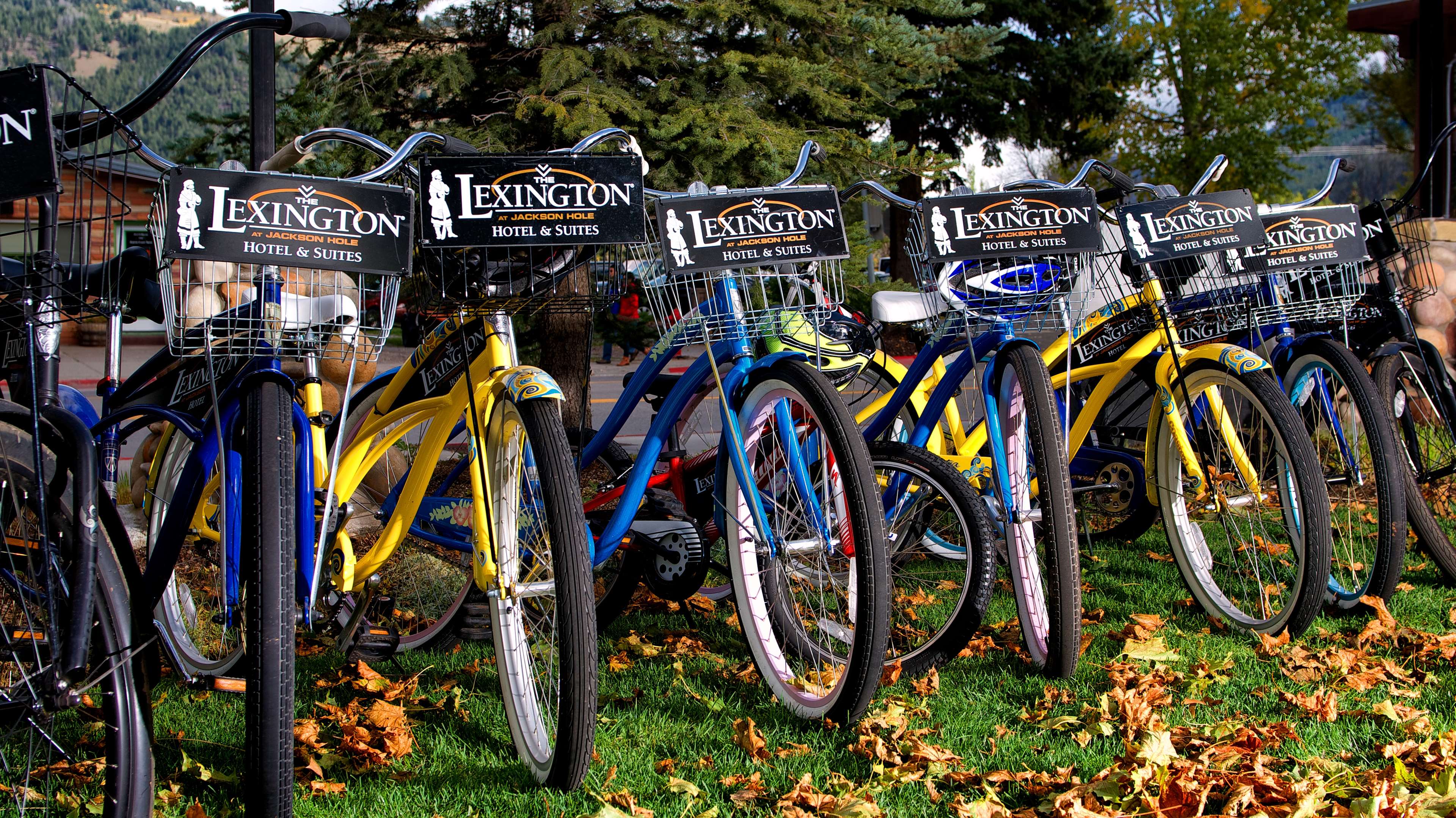 The Lexington at Jackson Hole Hotel & Suites