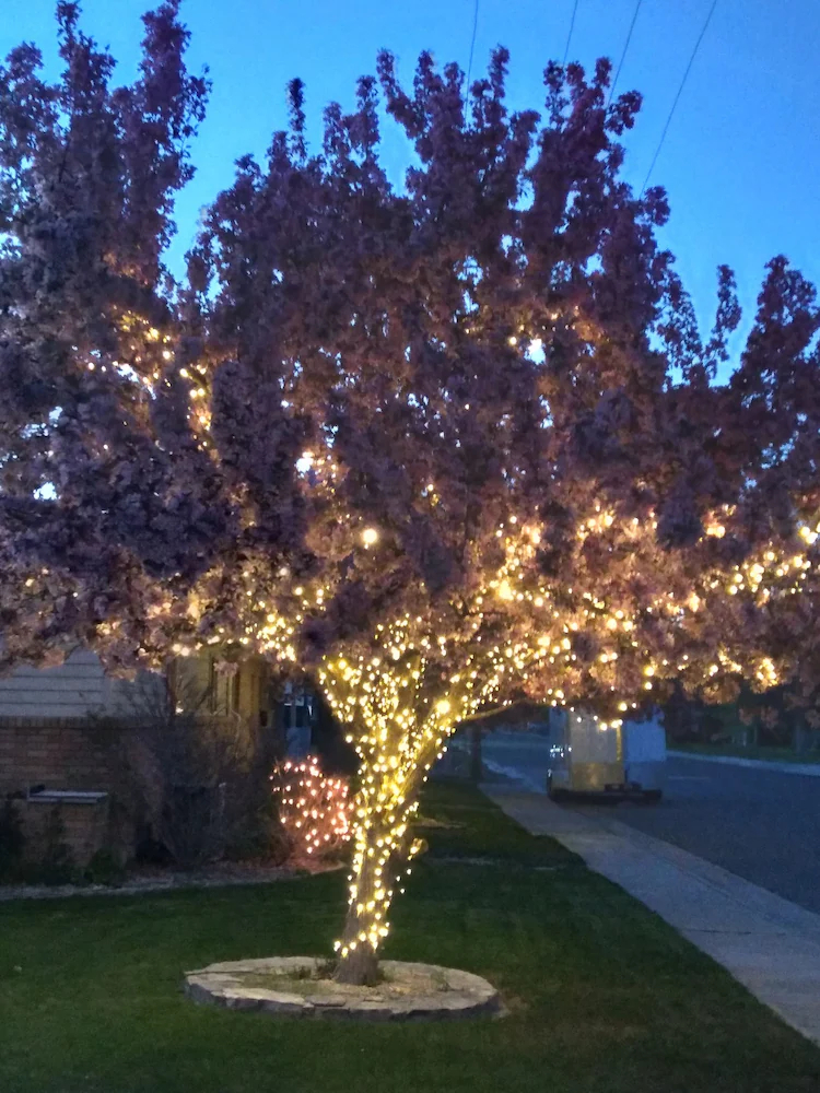 Horseshoe Bend Motel