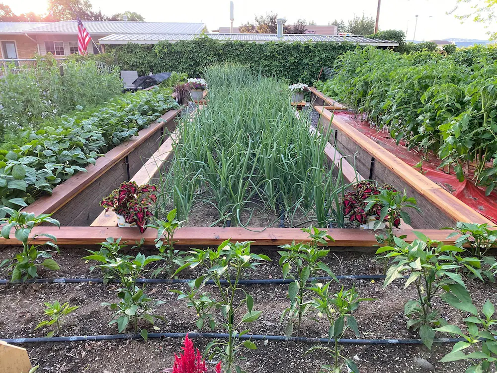 Horseshoe Bend Motel