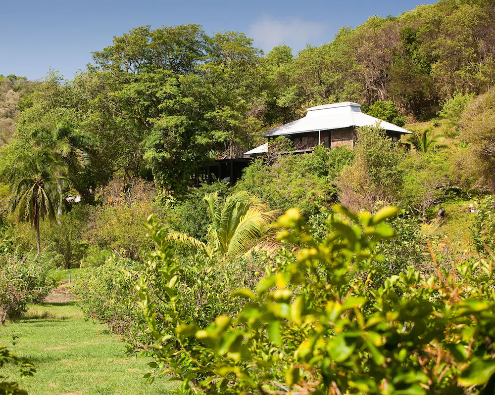 Firefly Plantation Bequia