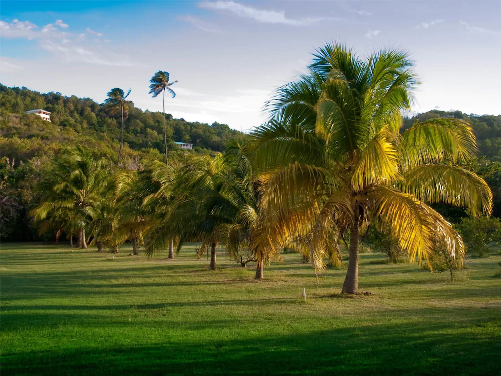 Firefly Plantation Bequia