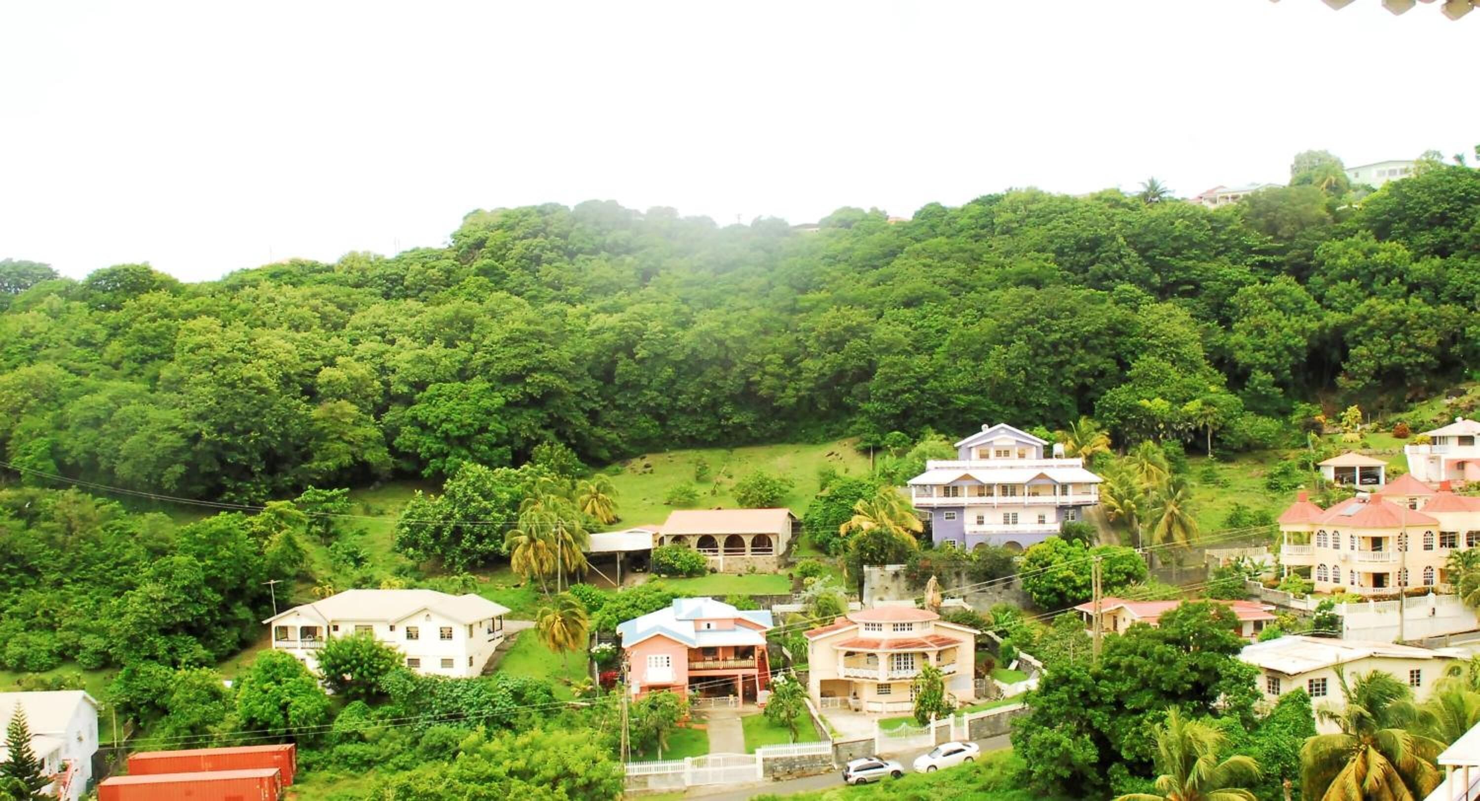 Rich View