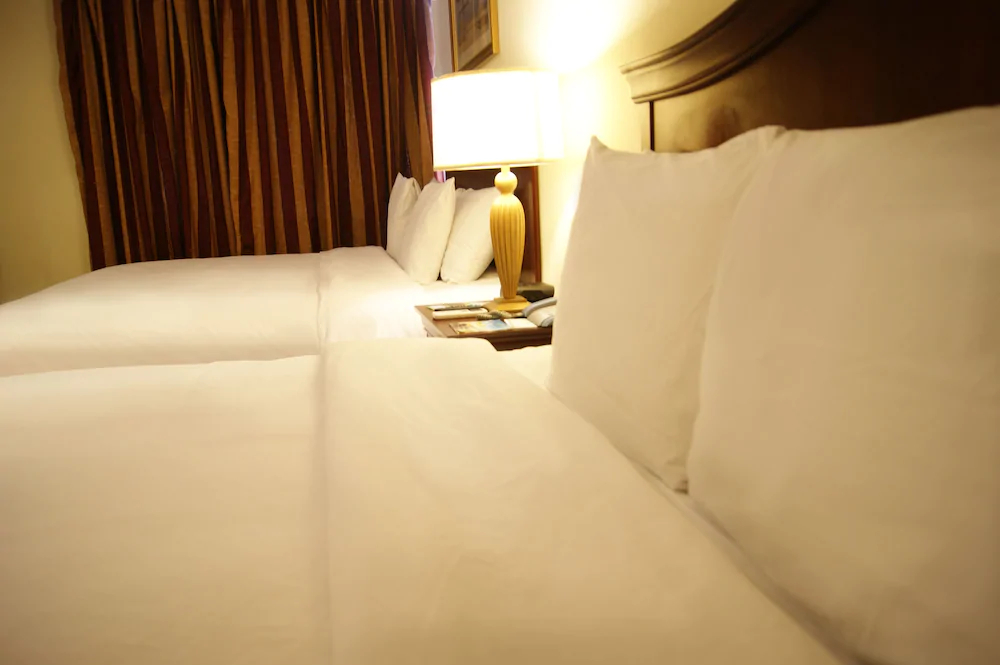 Hotel Las Palmas Inn