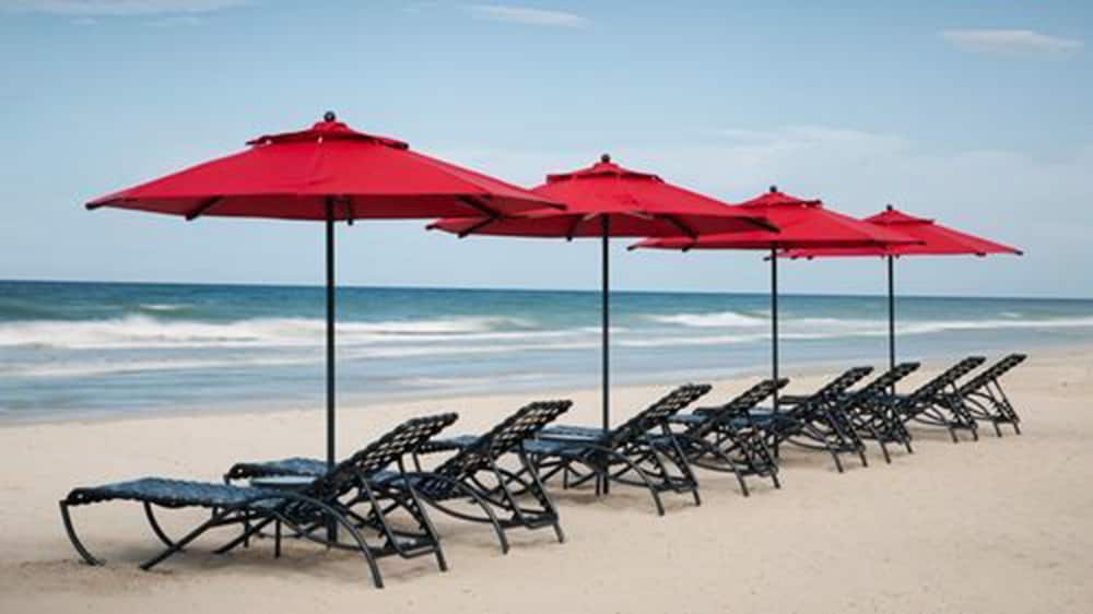LD Plus Palm Beach