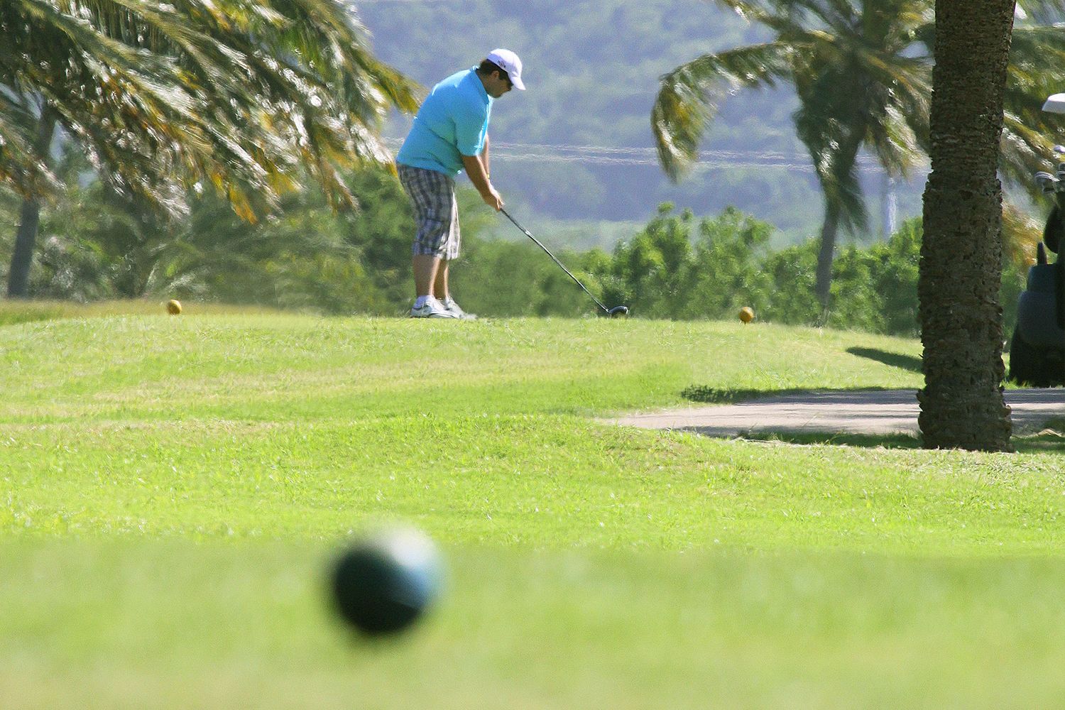 Hesperia Isla Margarita