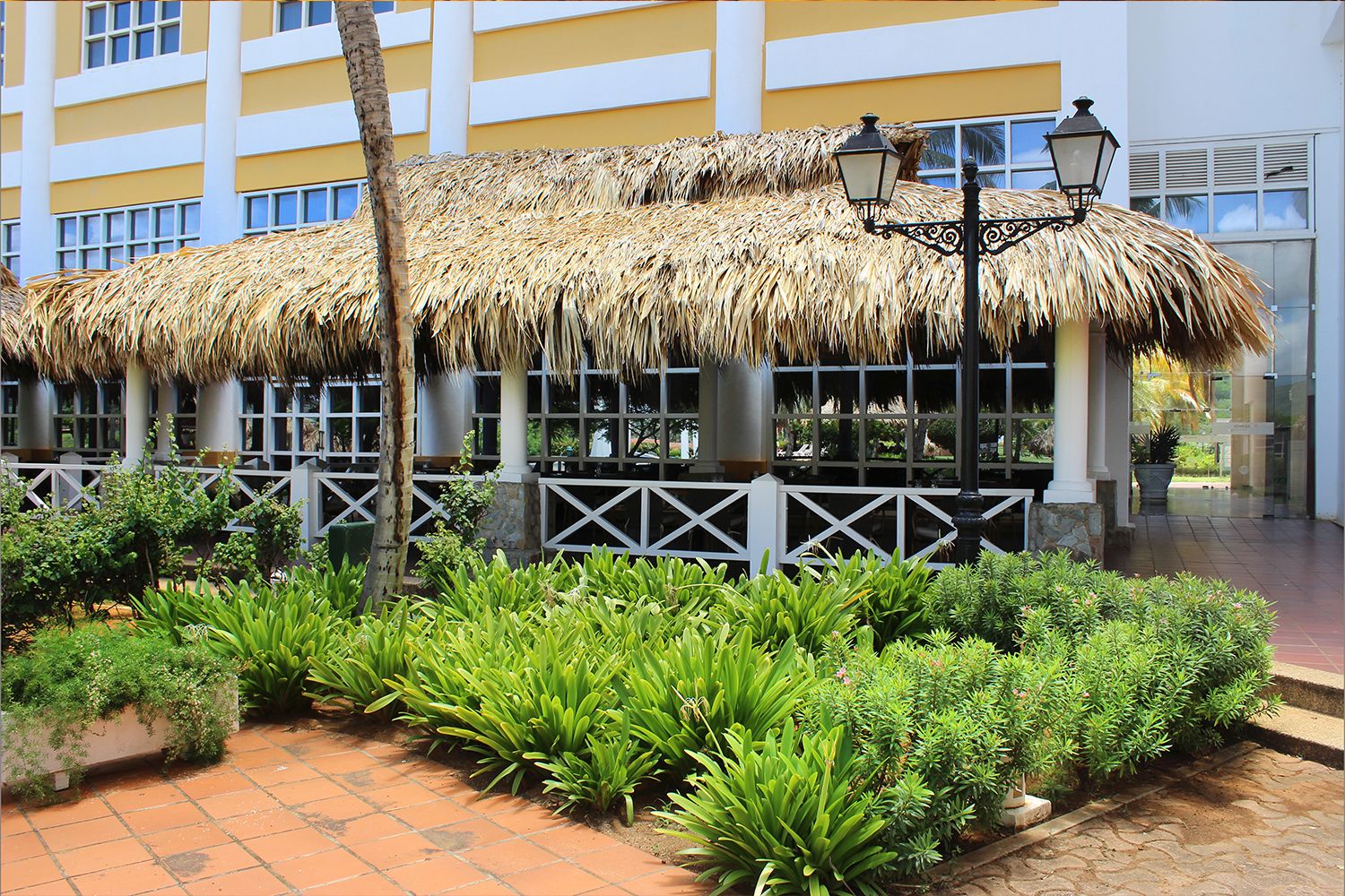 Hesperia Isla Margarita