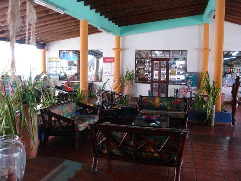 Tropical Refuge