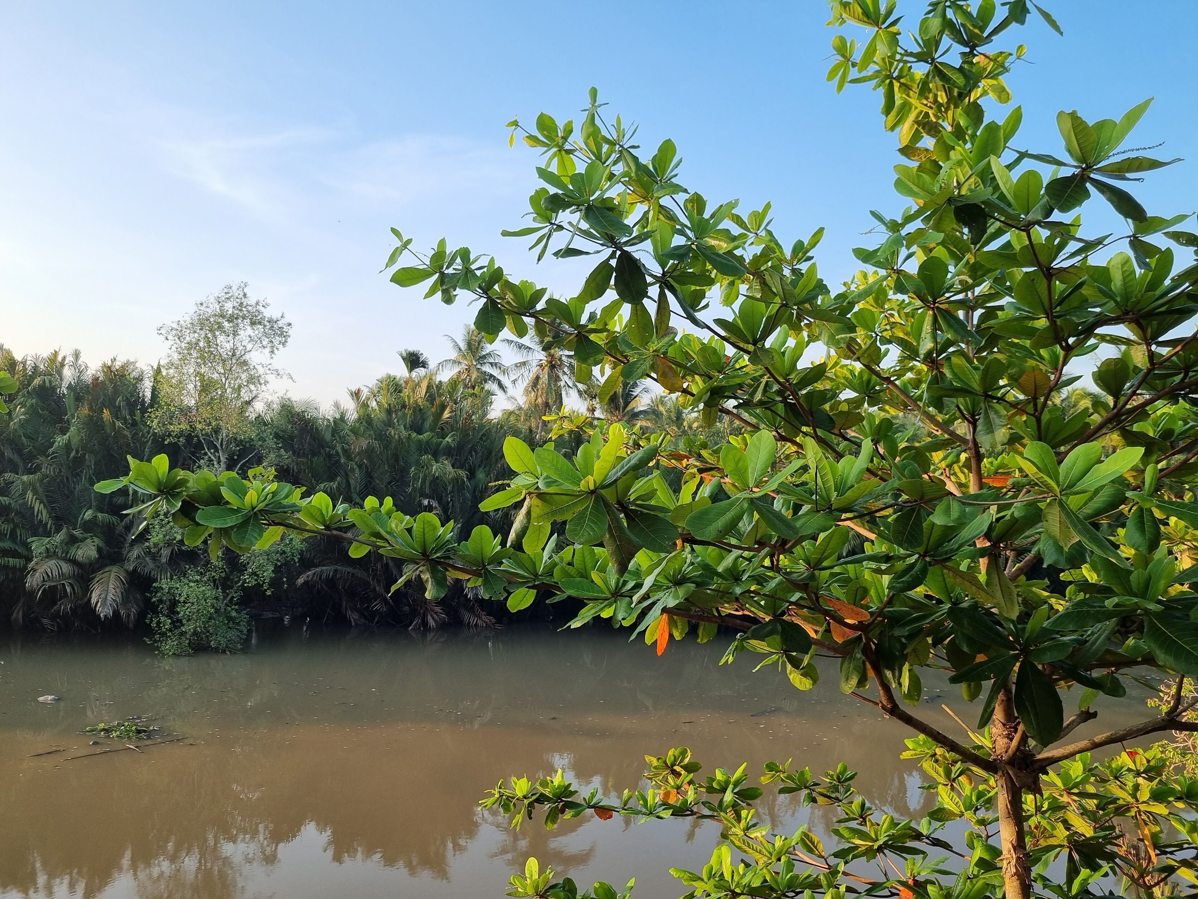 Innerzen Riverside Homestay