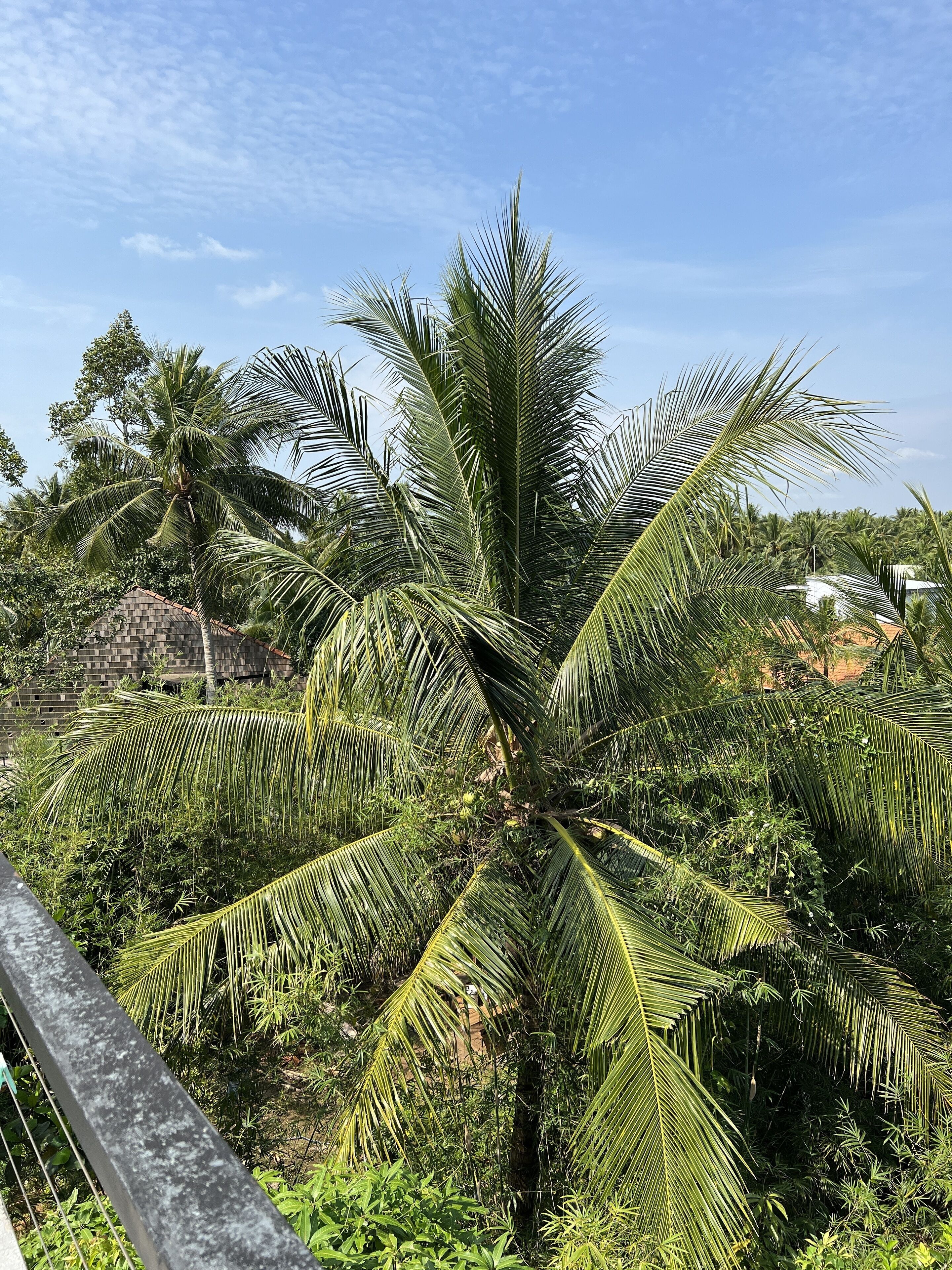 Innerzen Riverside Homestay