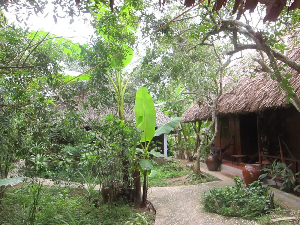 Jardin Du Mekong Homestay