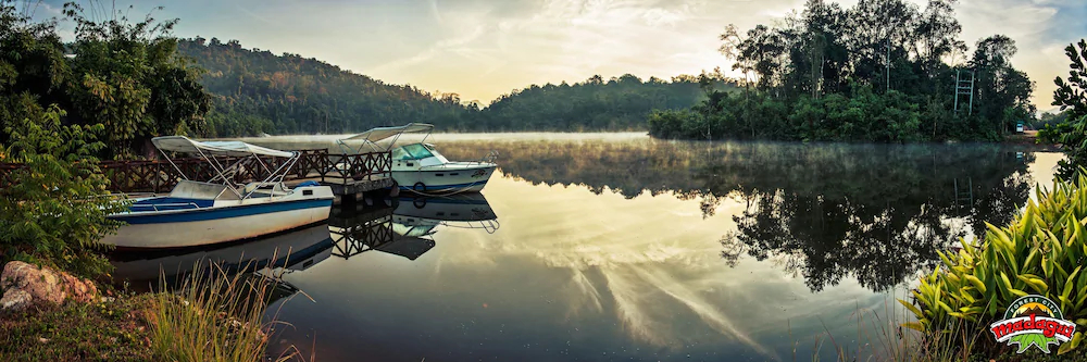 Madagui Forest Resort