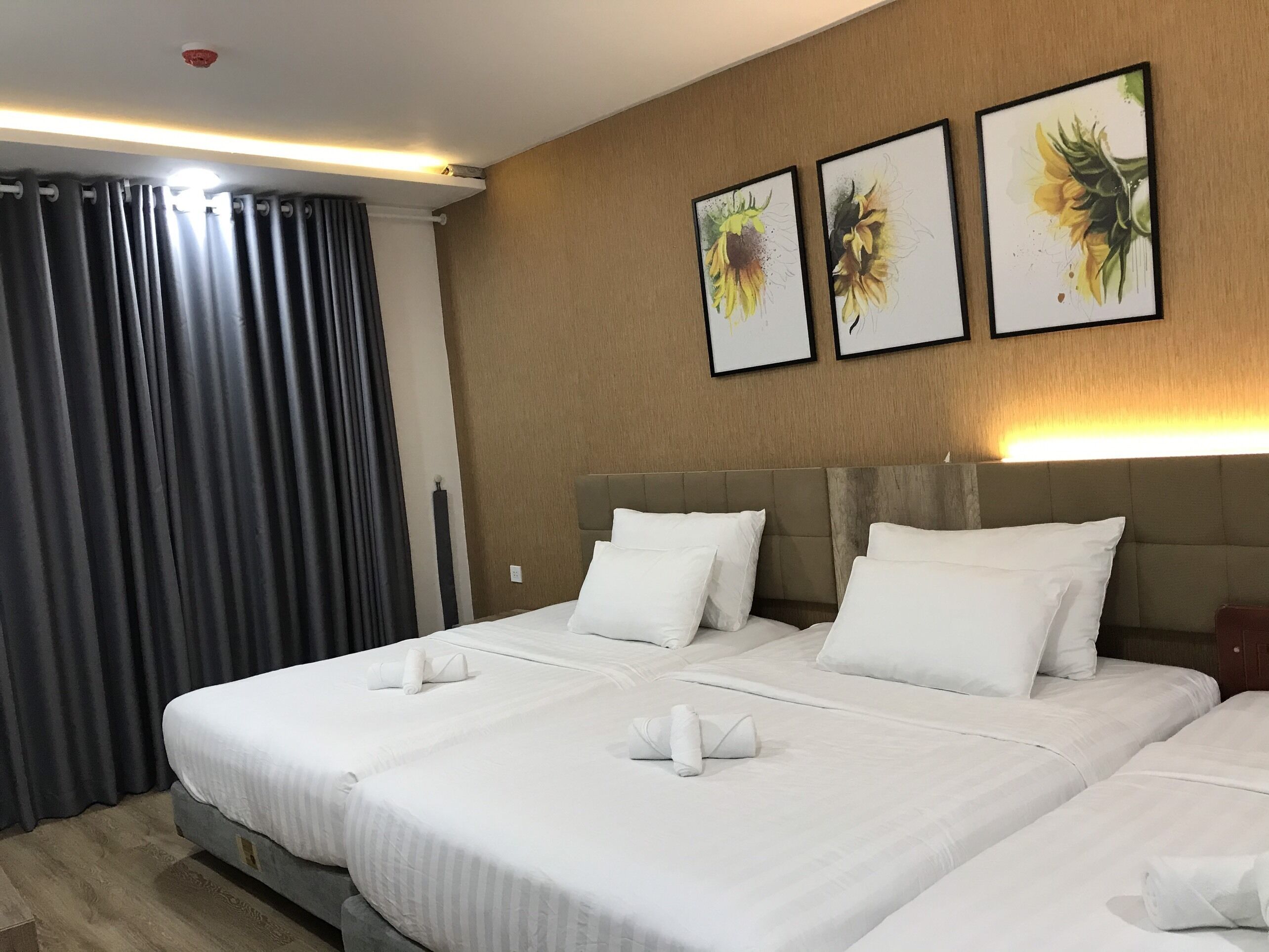 P&L Apartment