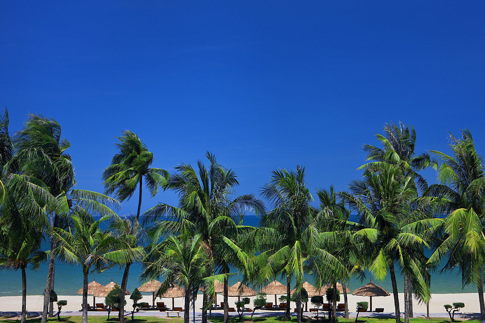 Sheraton Nha Trang