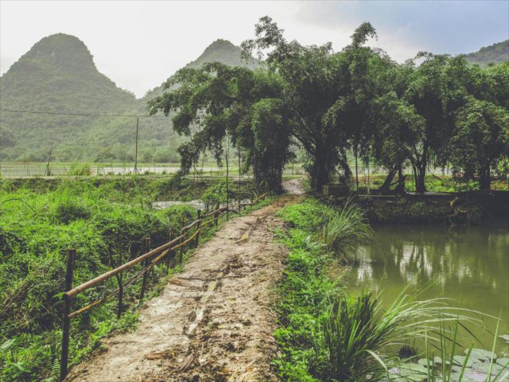 Tam Coc Rice Fields Resort
