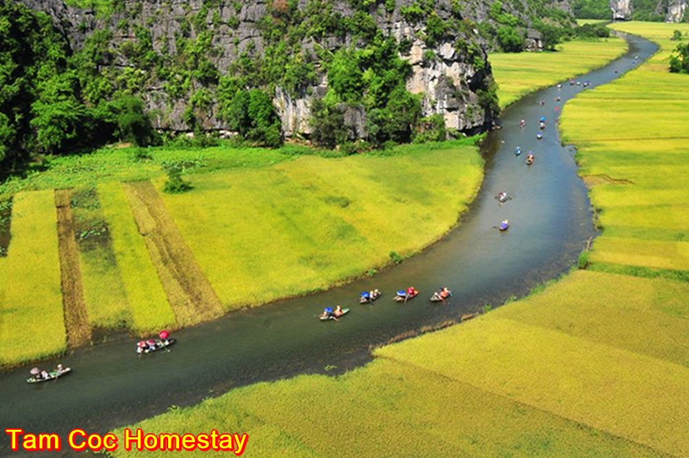 Thanh Dat Homestay