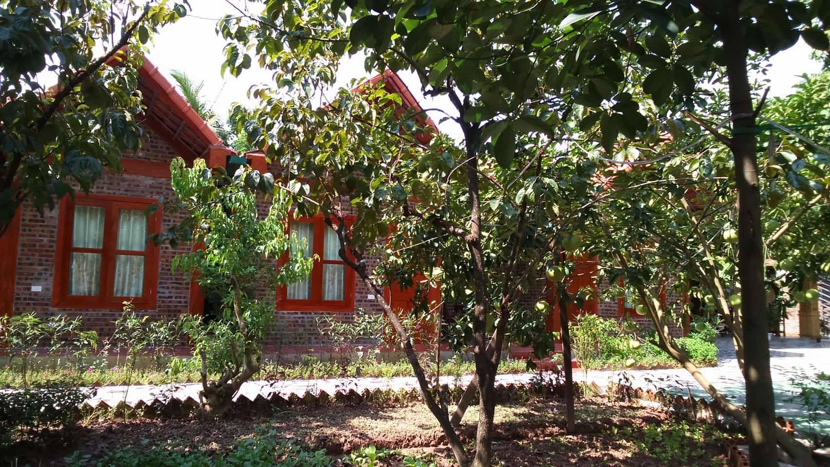 Thanh Dat Homestay