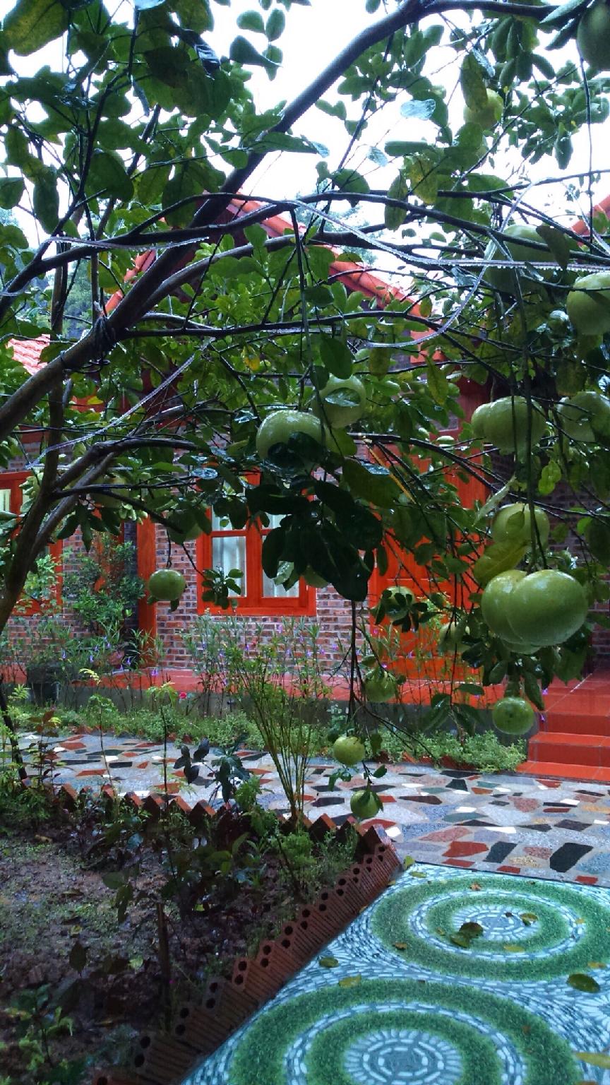 Thanh Dat Homestay