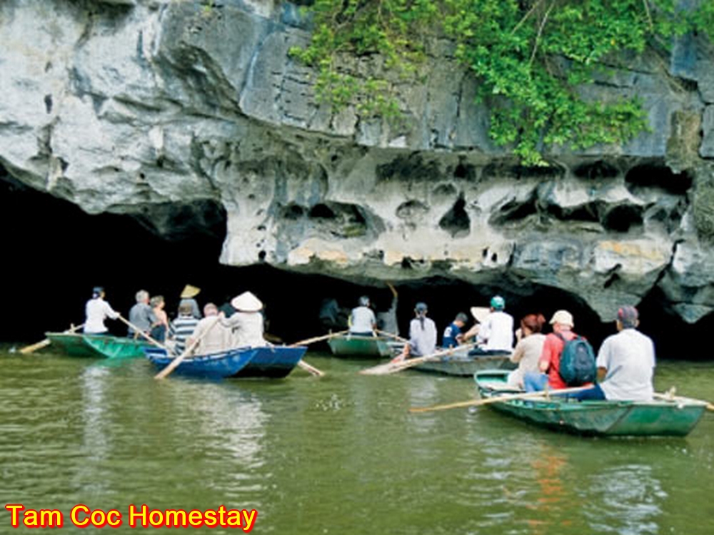 Thanh Dat Homestay