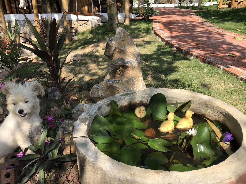 Trang An Lamia Bungalow