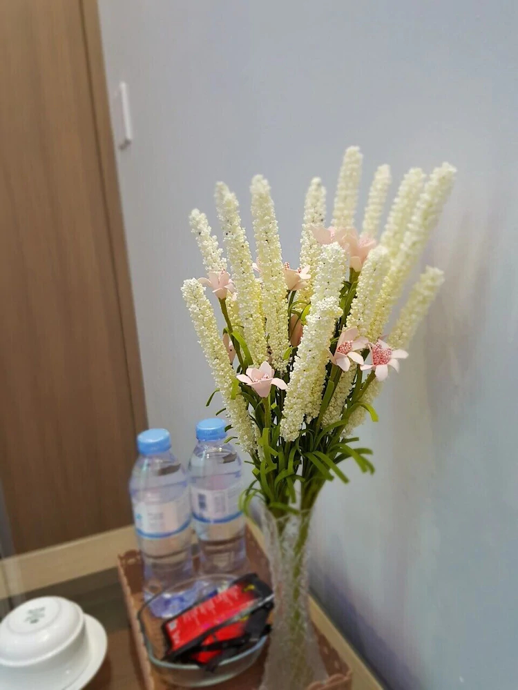 Fasy Hotel