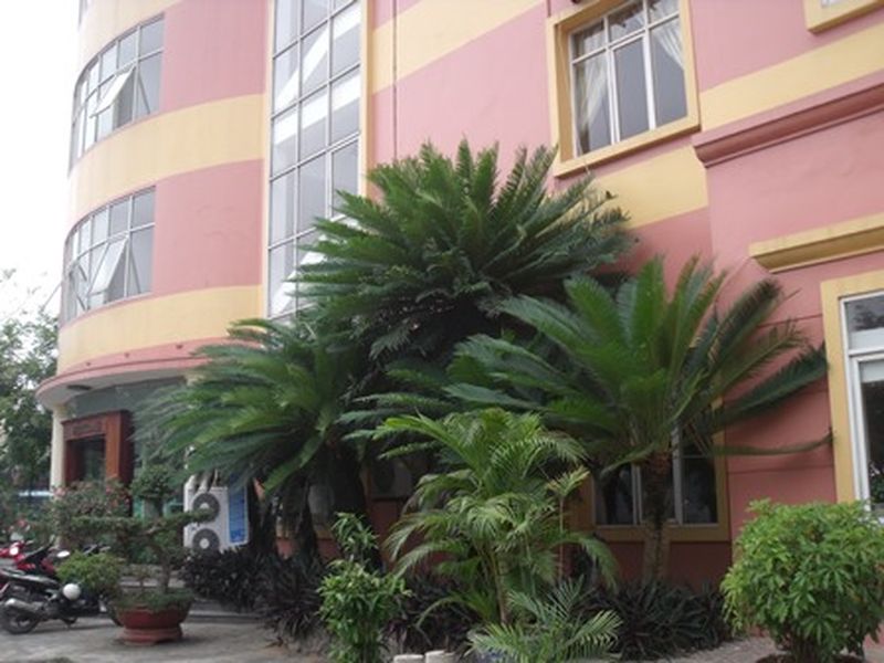 Hoang Qui Hotel