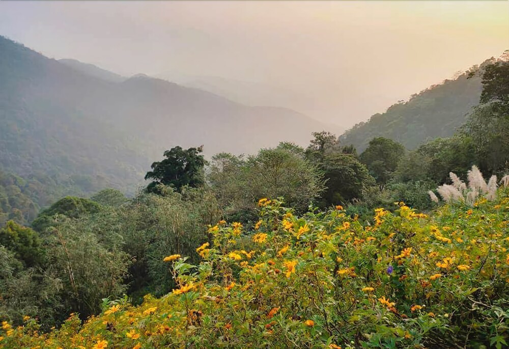 Le vent Homestay Tam Dao