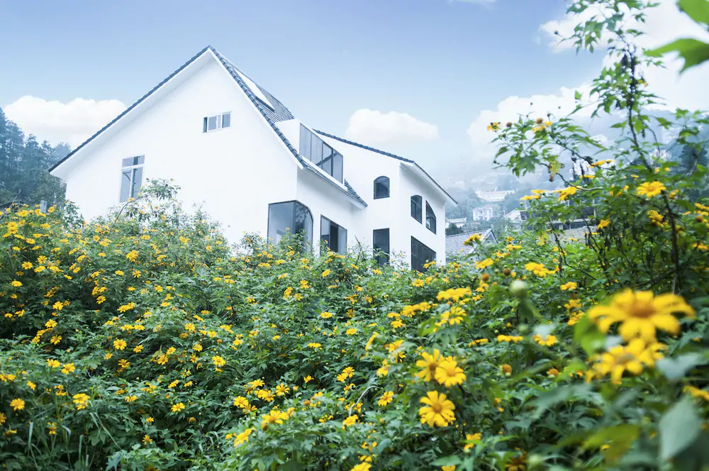 Le vent Homestay Tam Dao