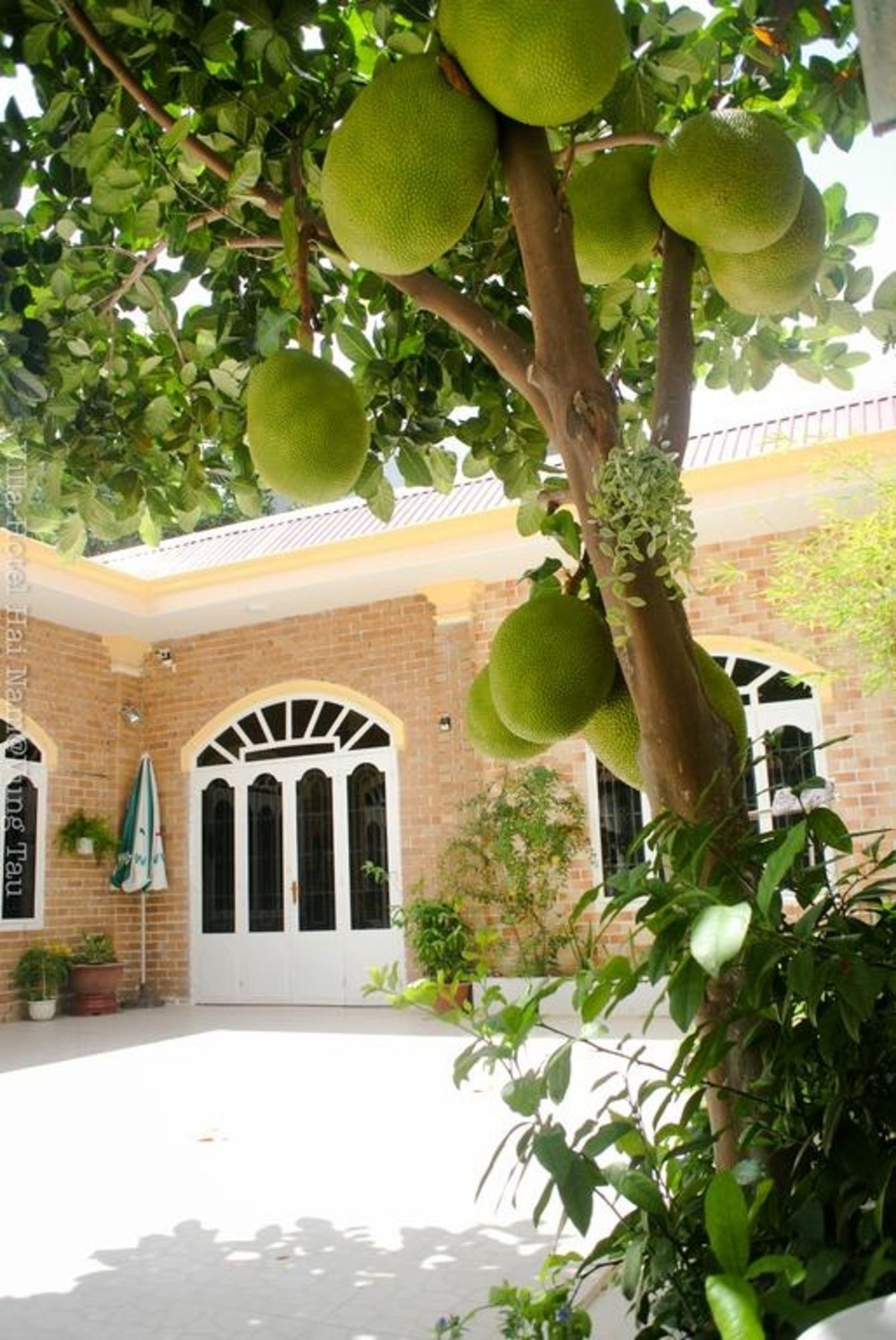Hai Nam Villa
