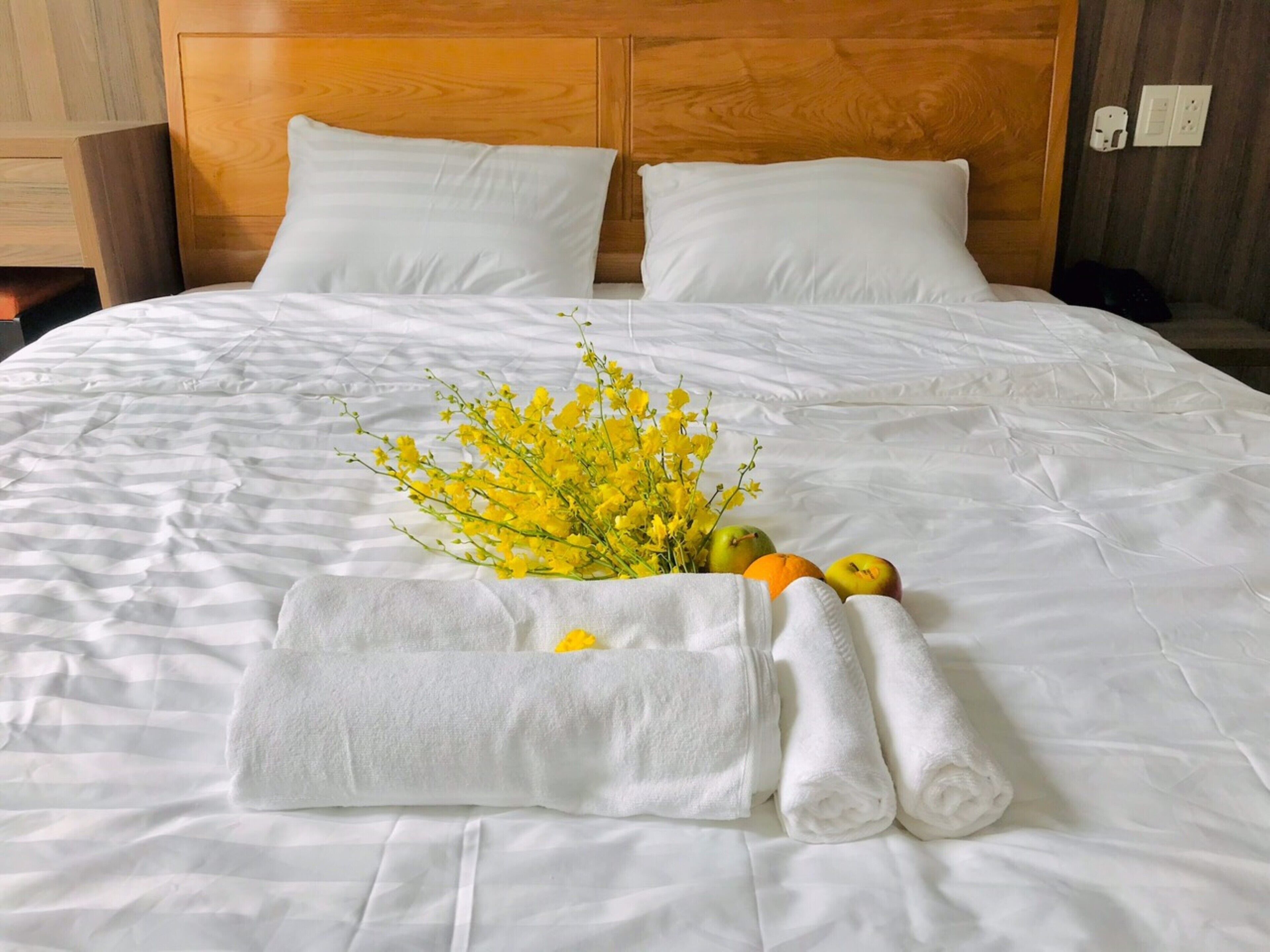 Nhat Thu Hotel & Apartment