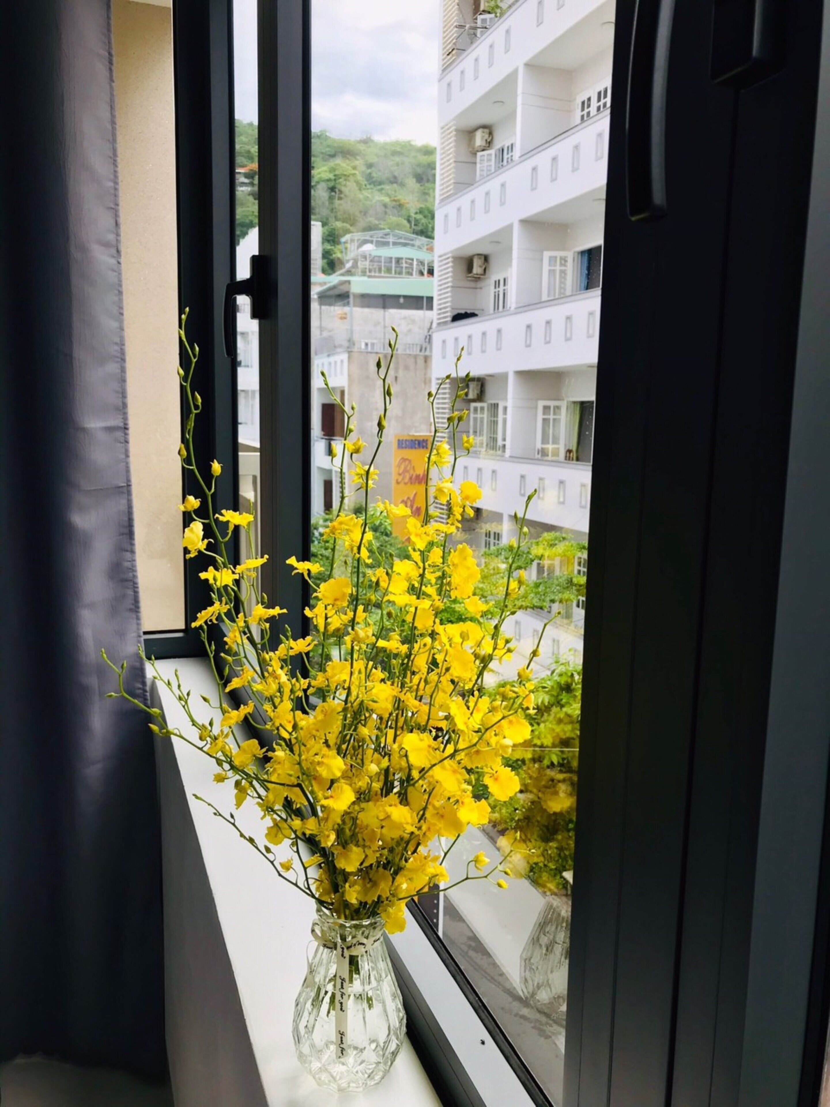 Nhat Thu Hotel & Apartment